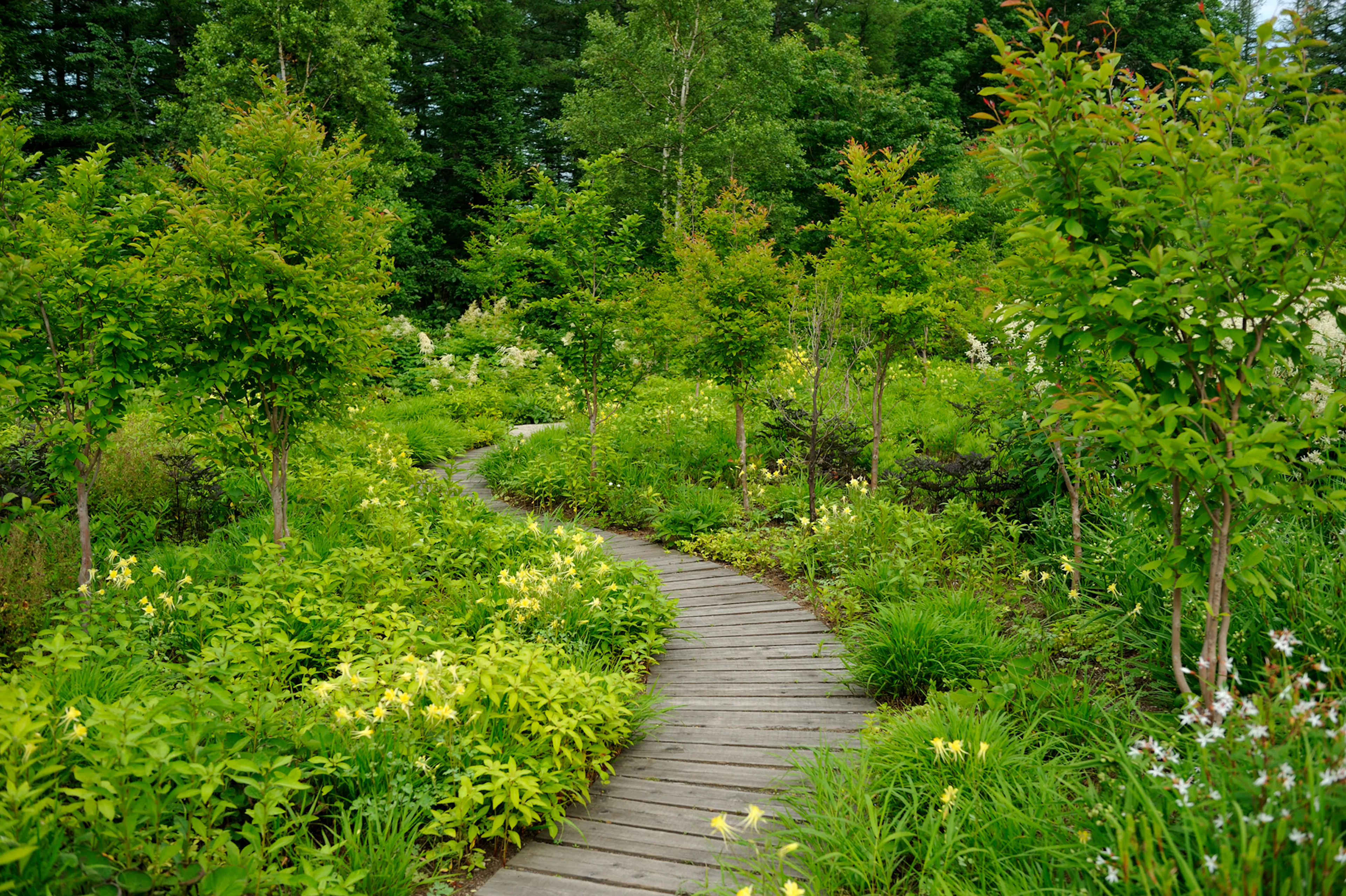 Tokachi Millennium Forest — 7