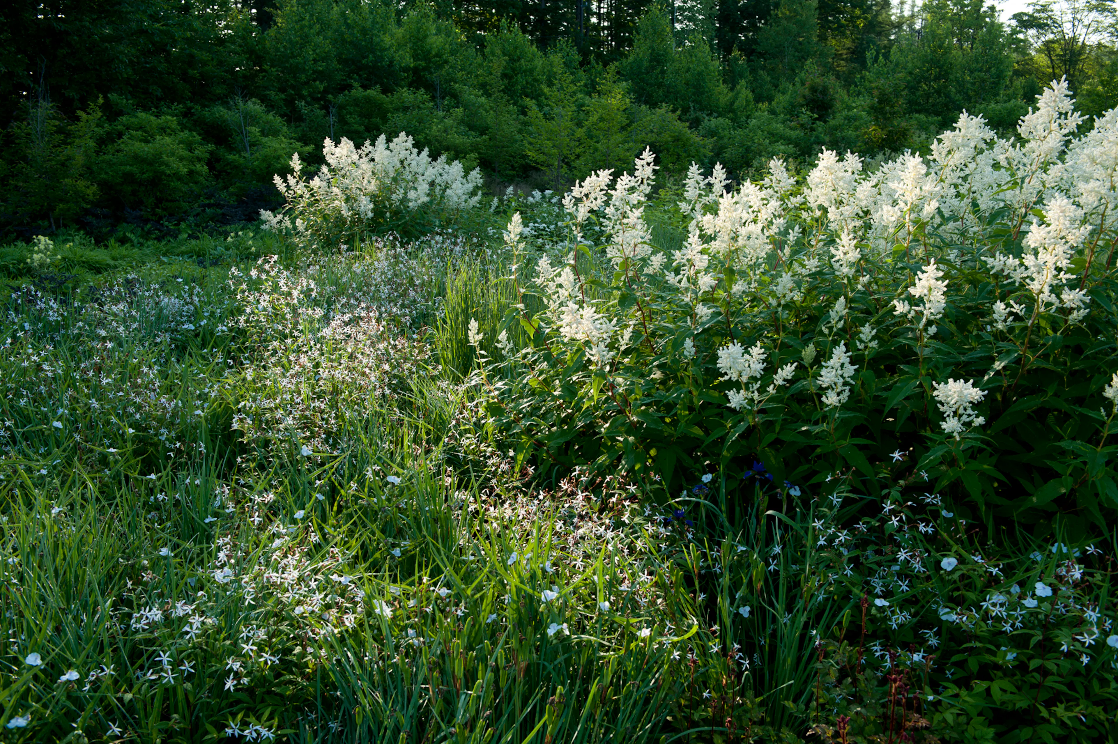Tokachi Millennium Forest — 10
