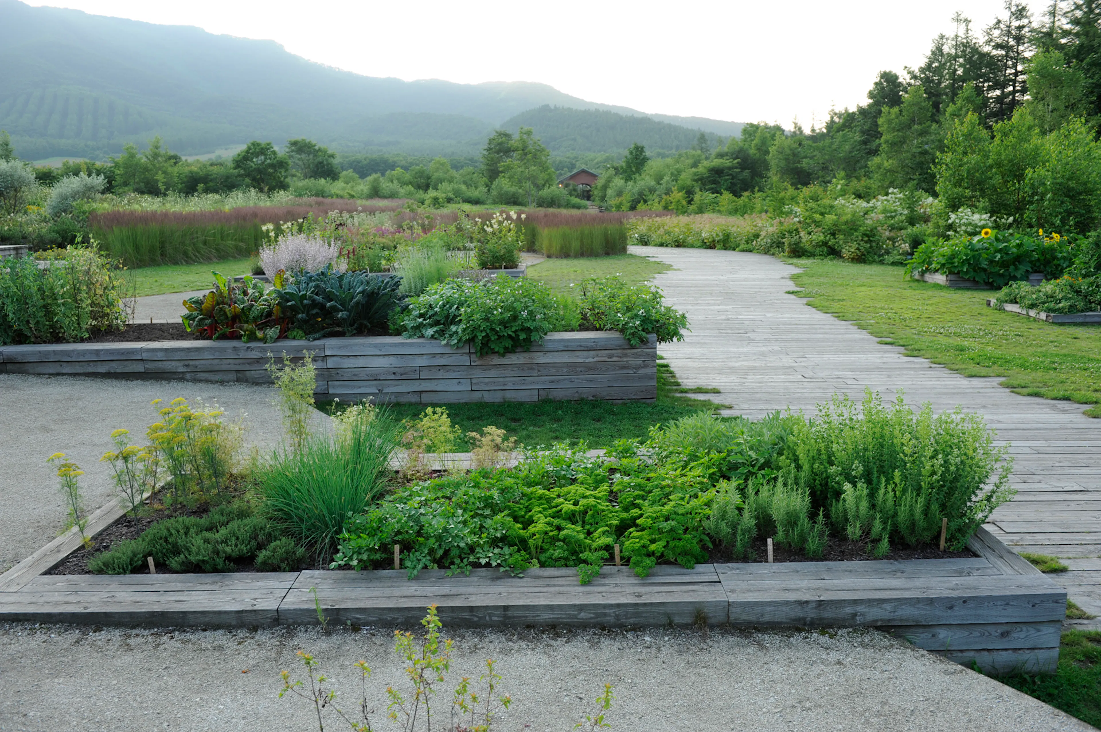 Tokachi Millennium Forest — 4