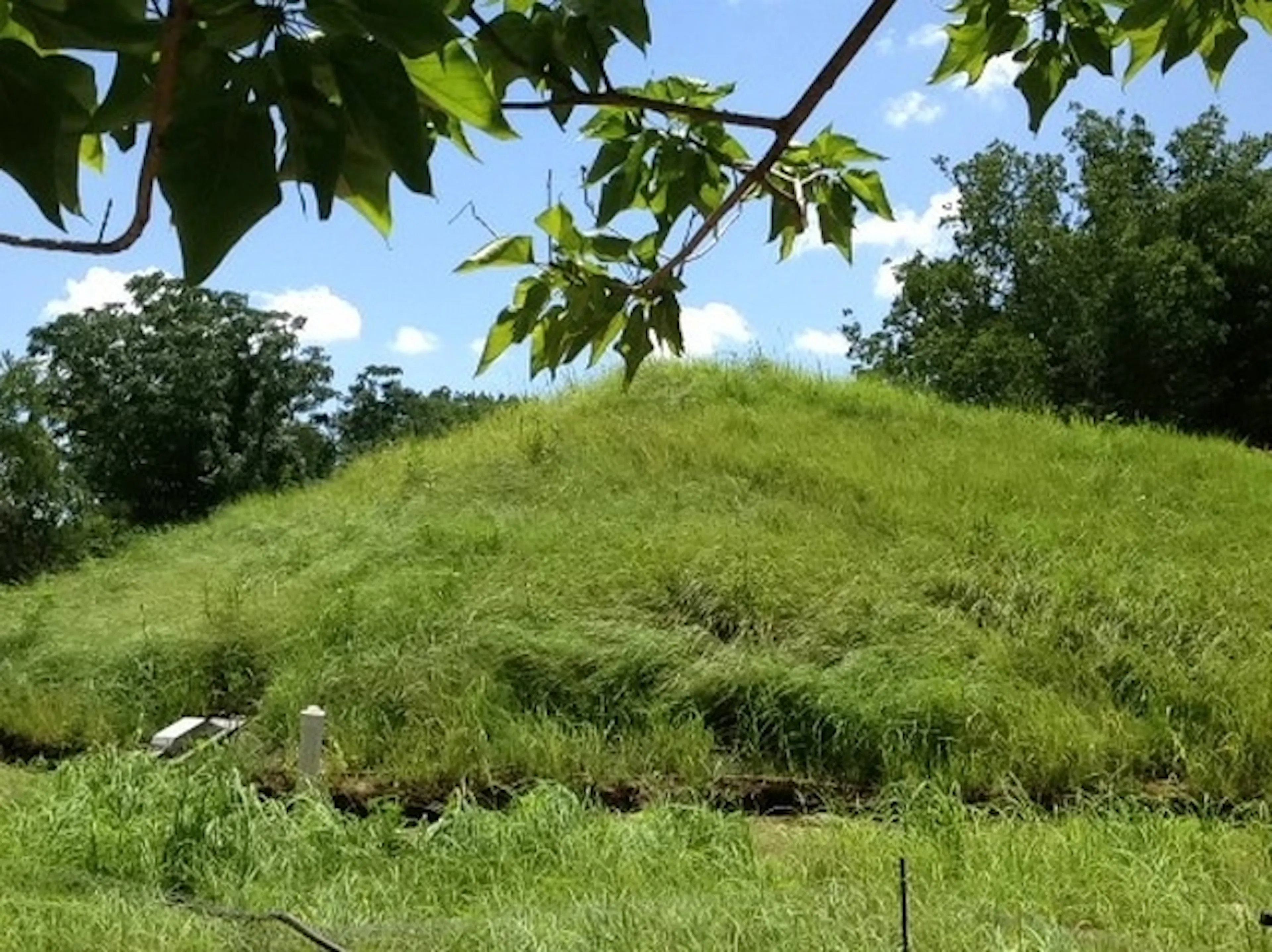 Edgeland House — 8