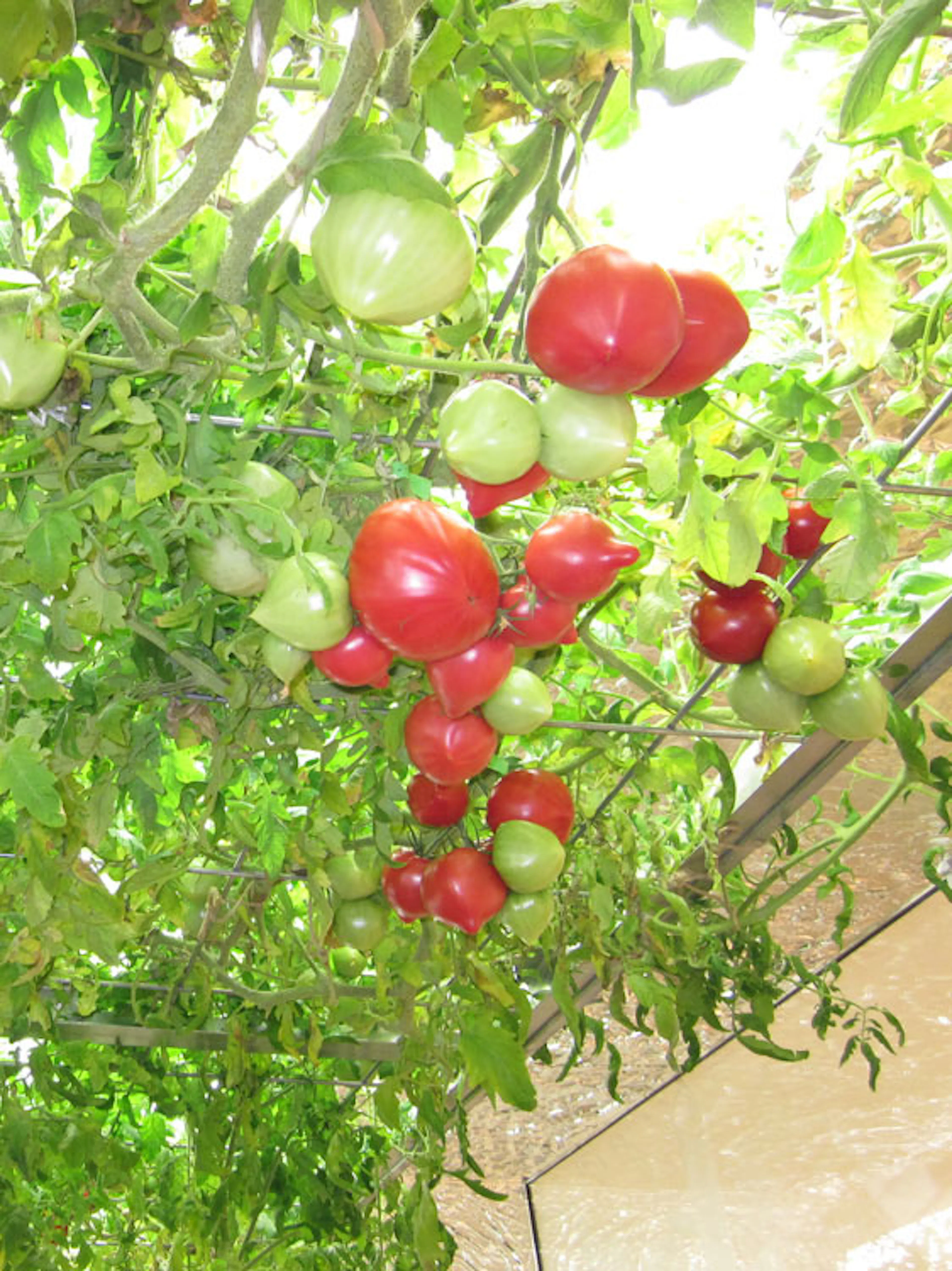 Pasona H.Q. Tokyo — 14