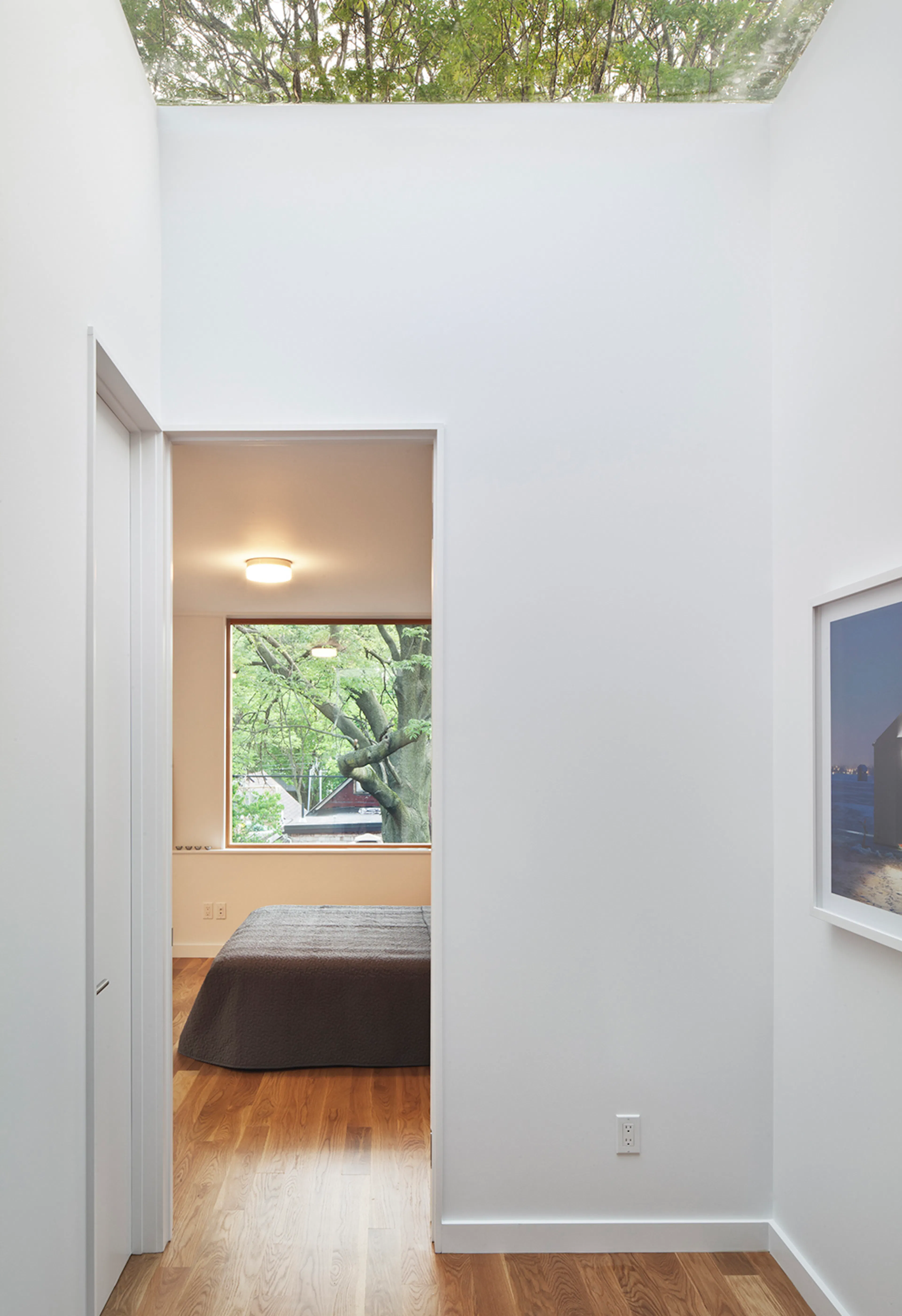 MODERNest House 1 — 4