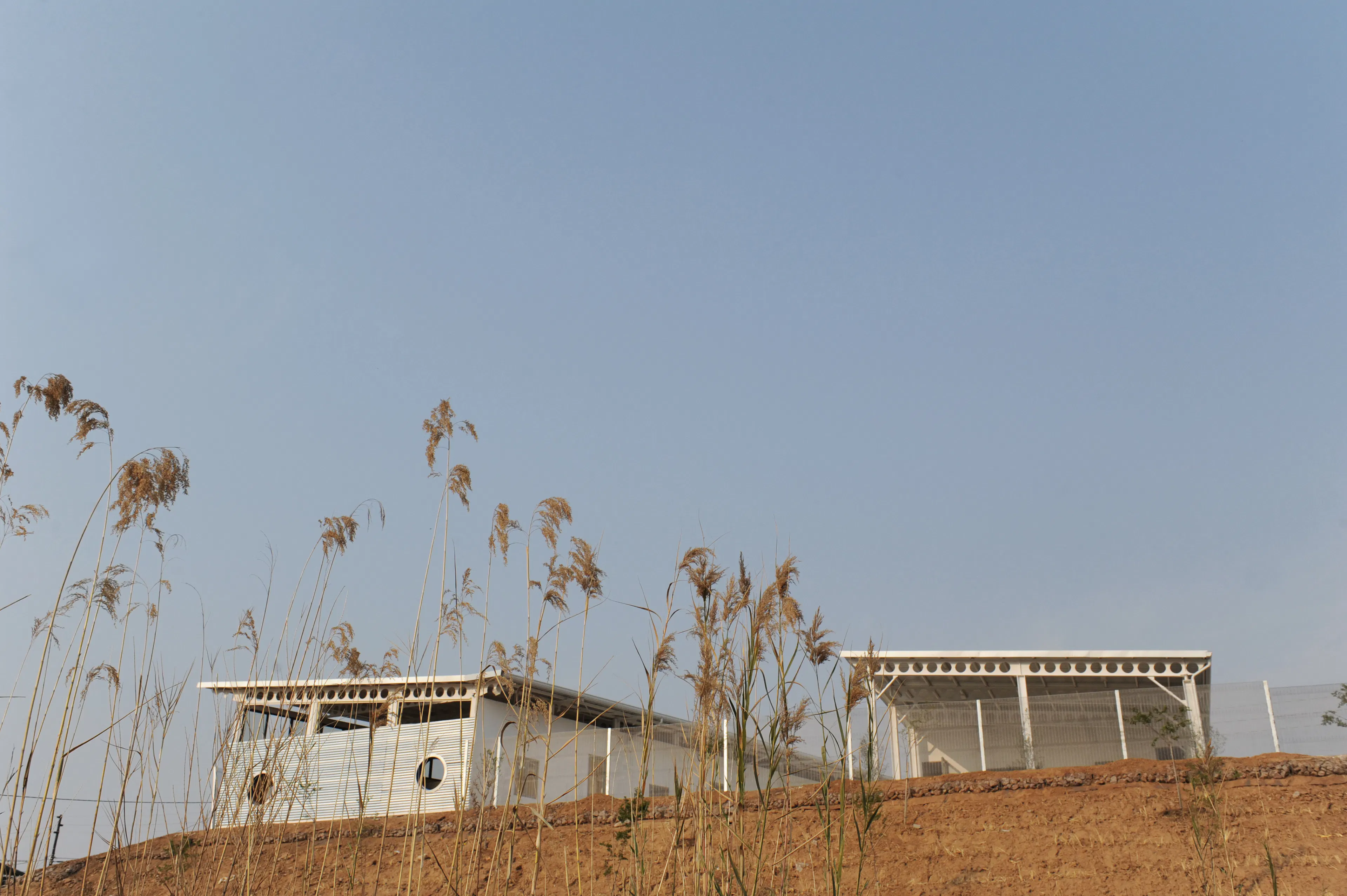 Armadillo Crèche — 5