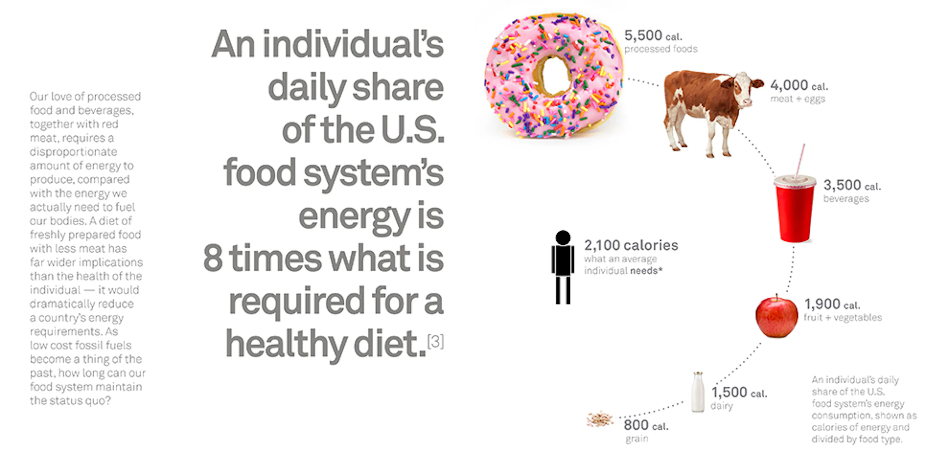 The Urban Food Jungle — 4