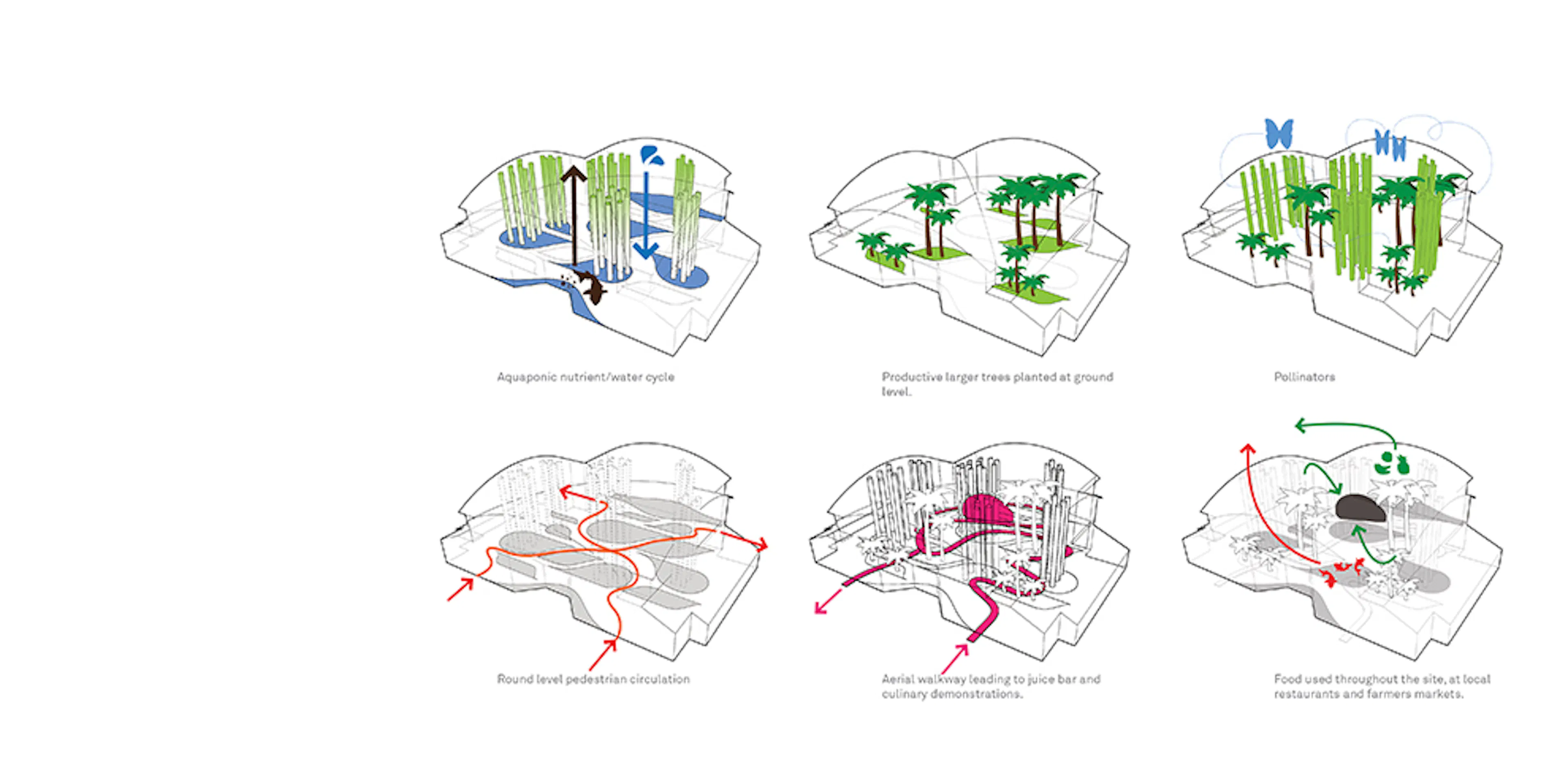 The Urban Food Jungle — 11
