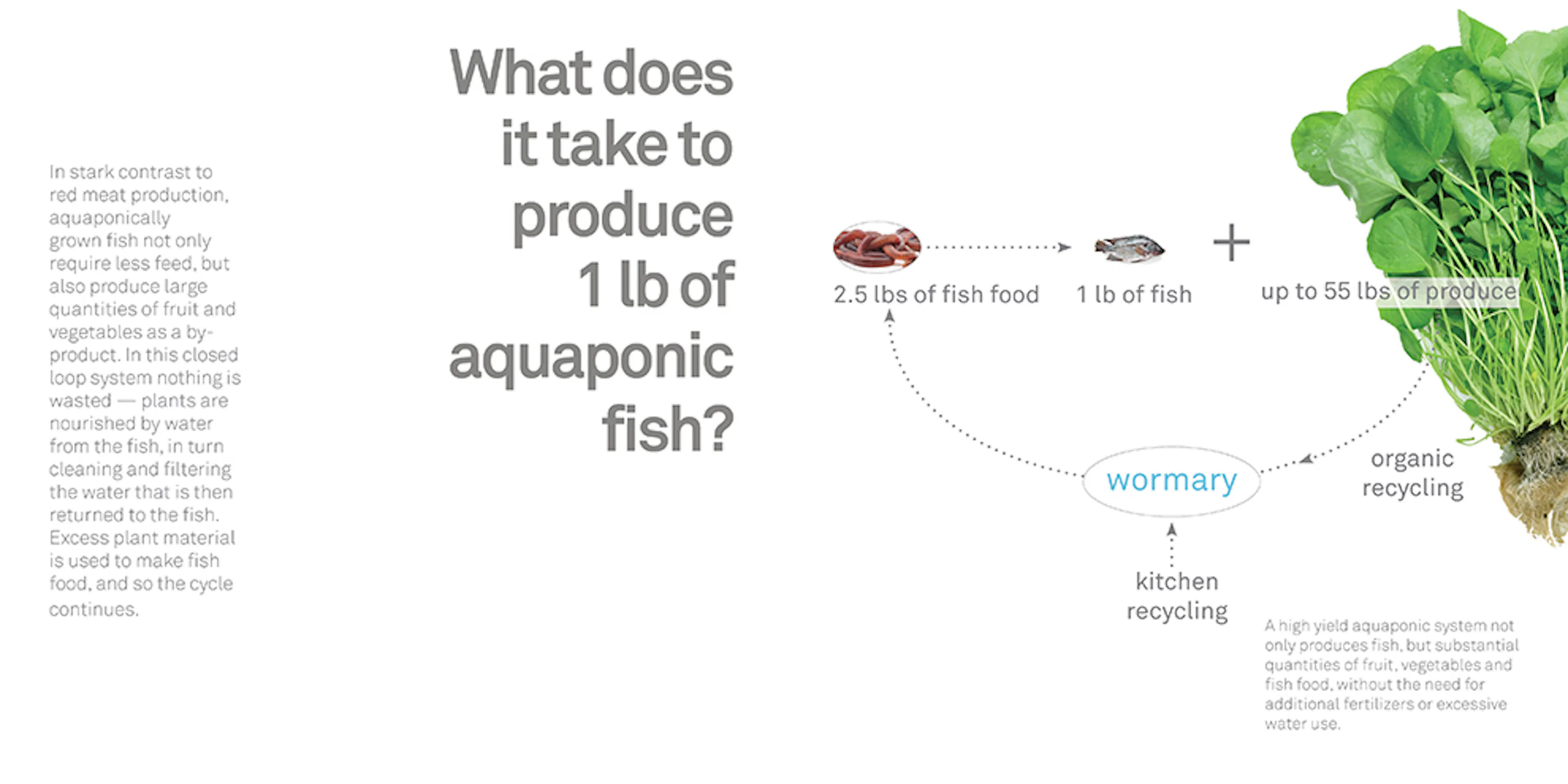 The Urban Food Jungle — 6