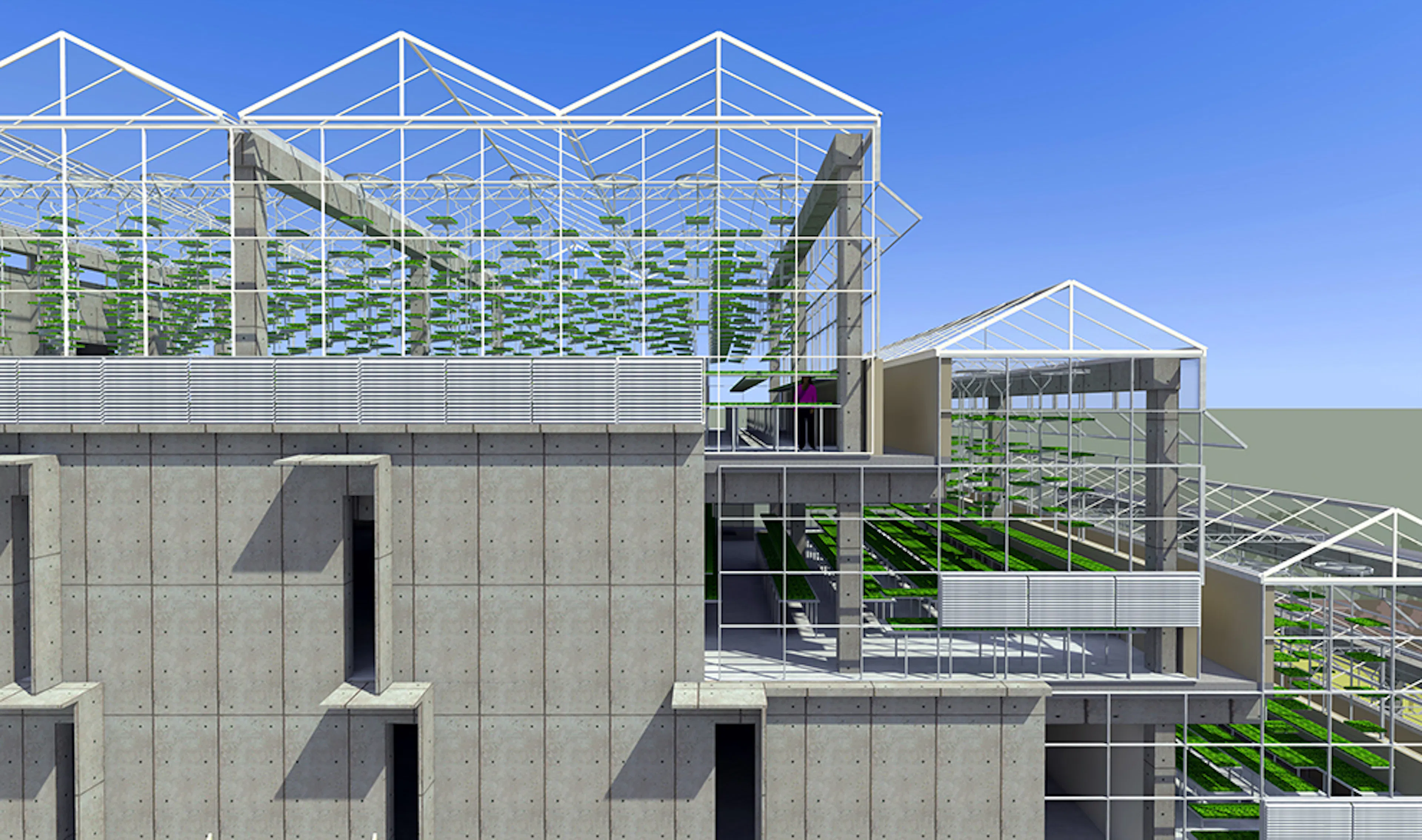 Growing Power Urban Farm — 6