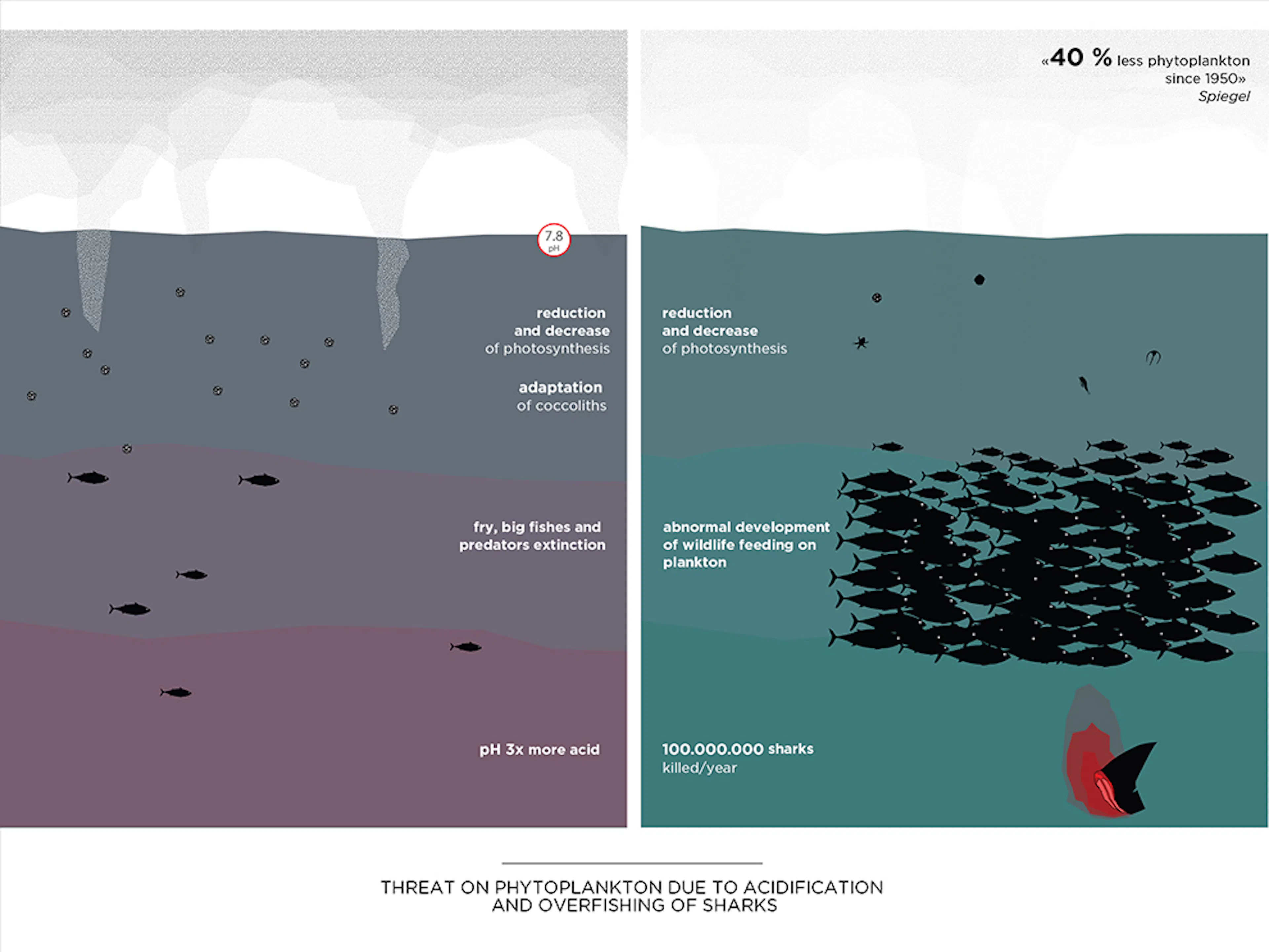 Bloom: Aquatic Farm — 8