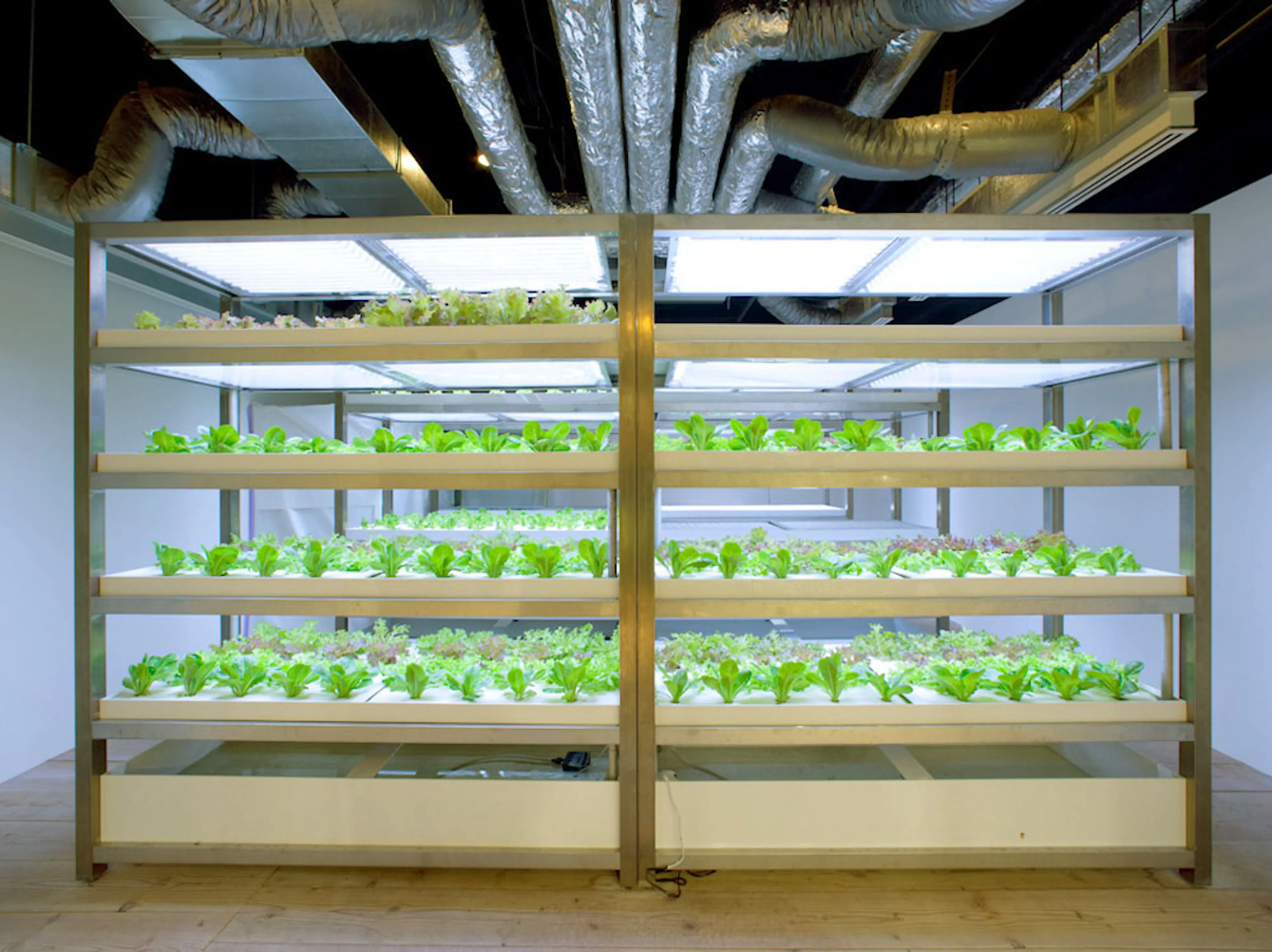 Pasona H.Q. Tokyo — 10