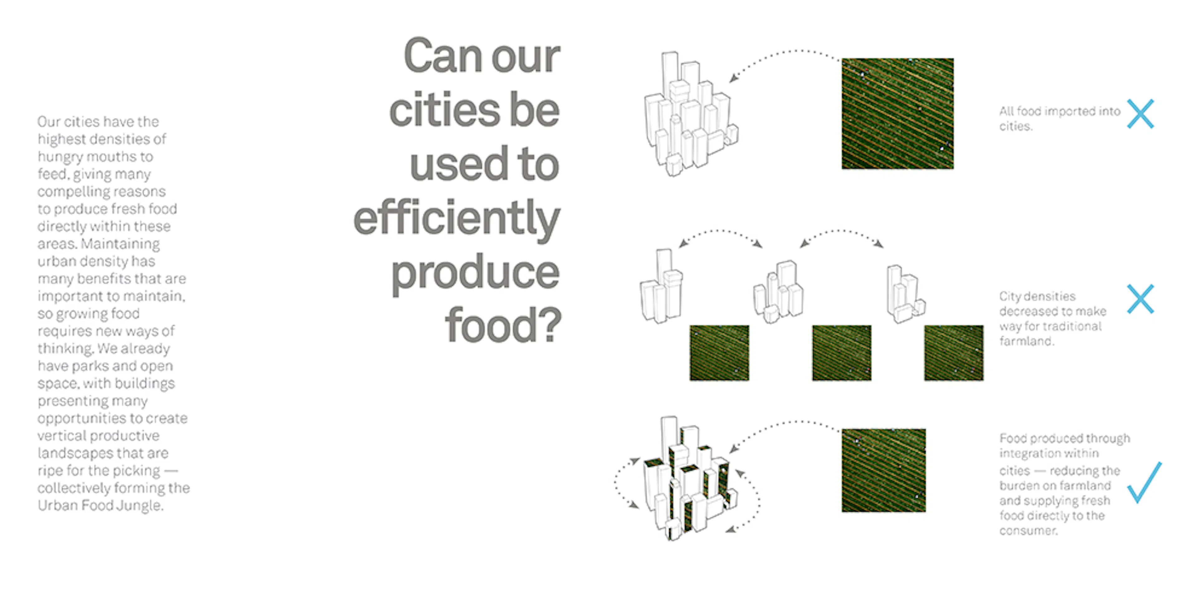 The Urban Food Jungle — 7