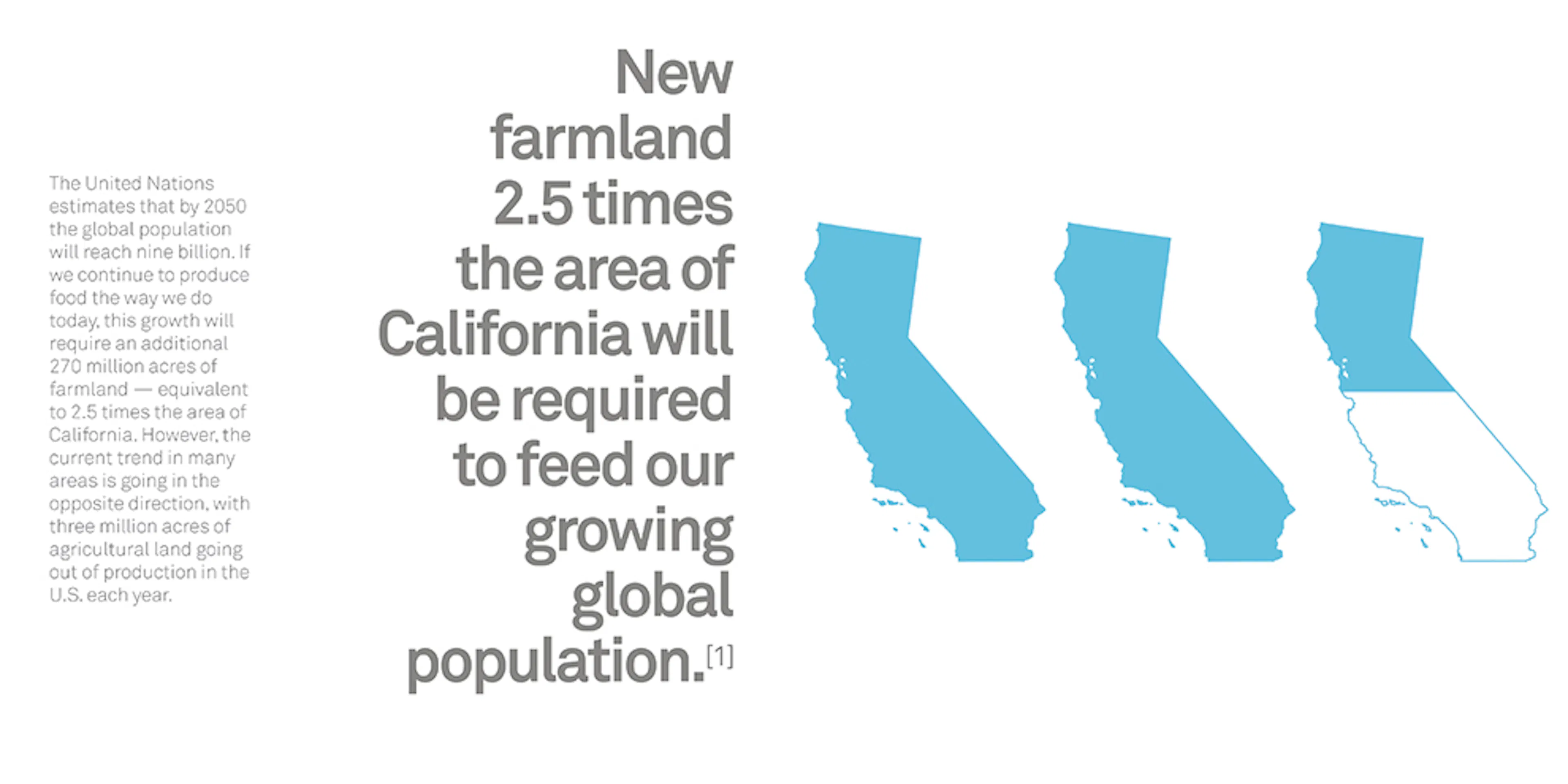 The Urban Food Jungle — 2