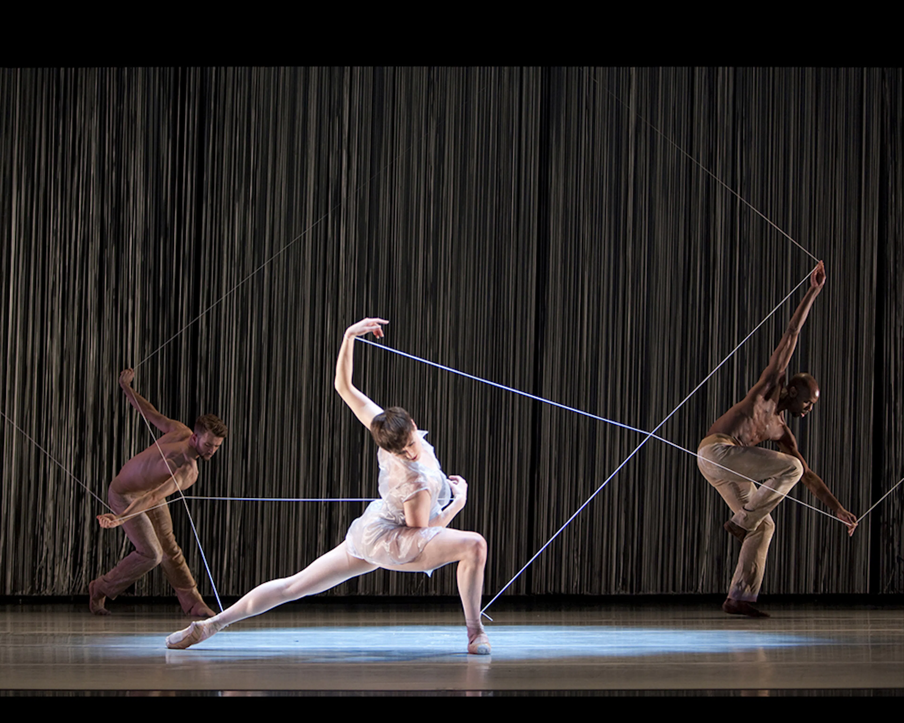 Triangle of the Squinches - a Collaborative Ballet — 1