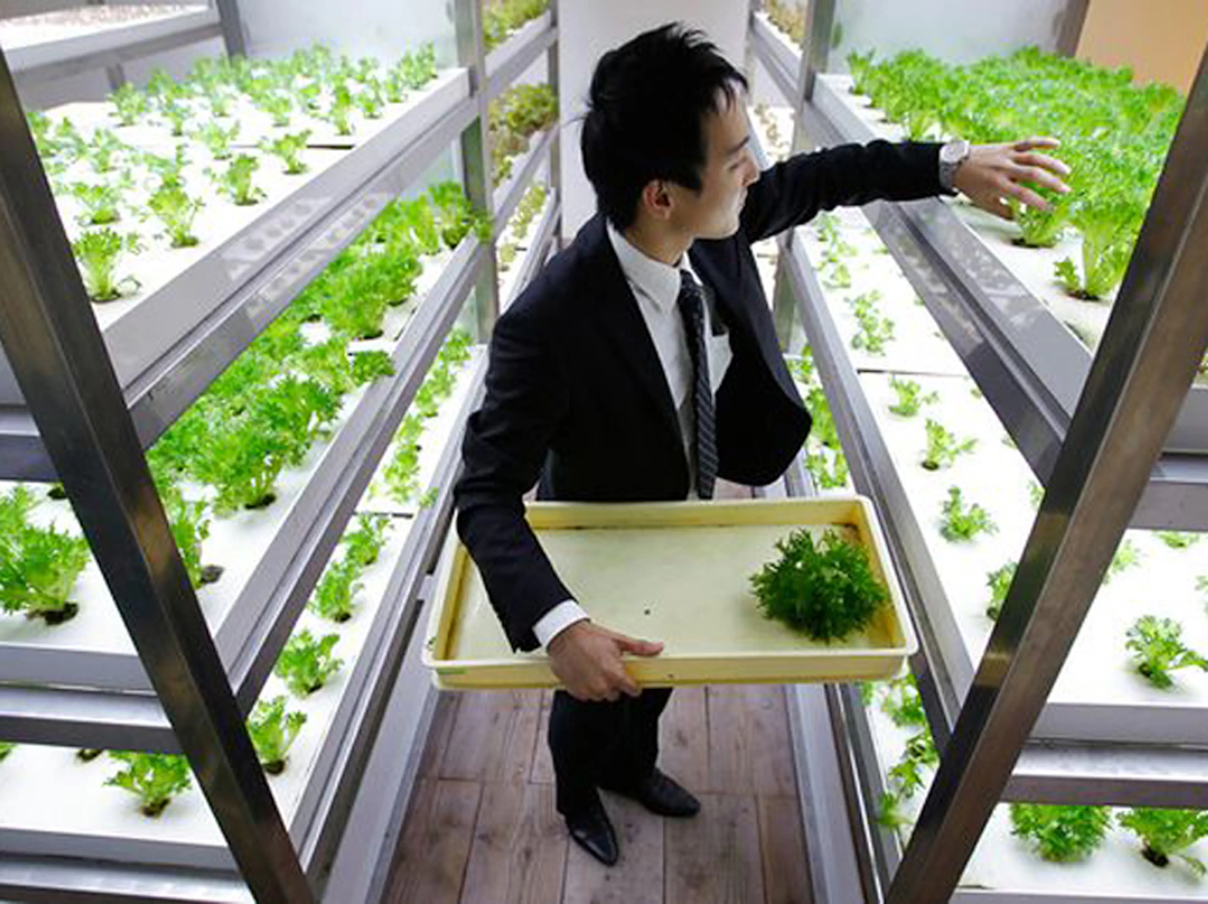 Pasona H.Q. Tokyo — 11