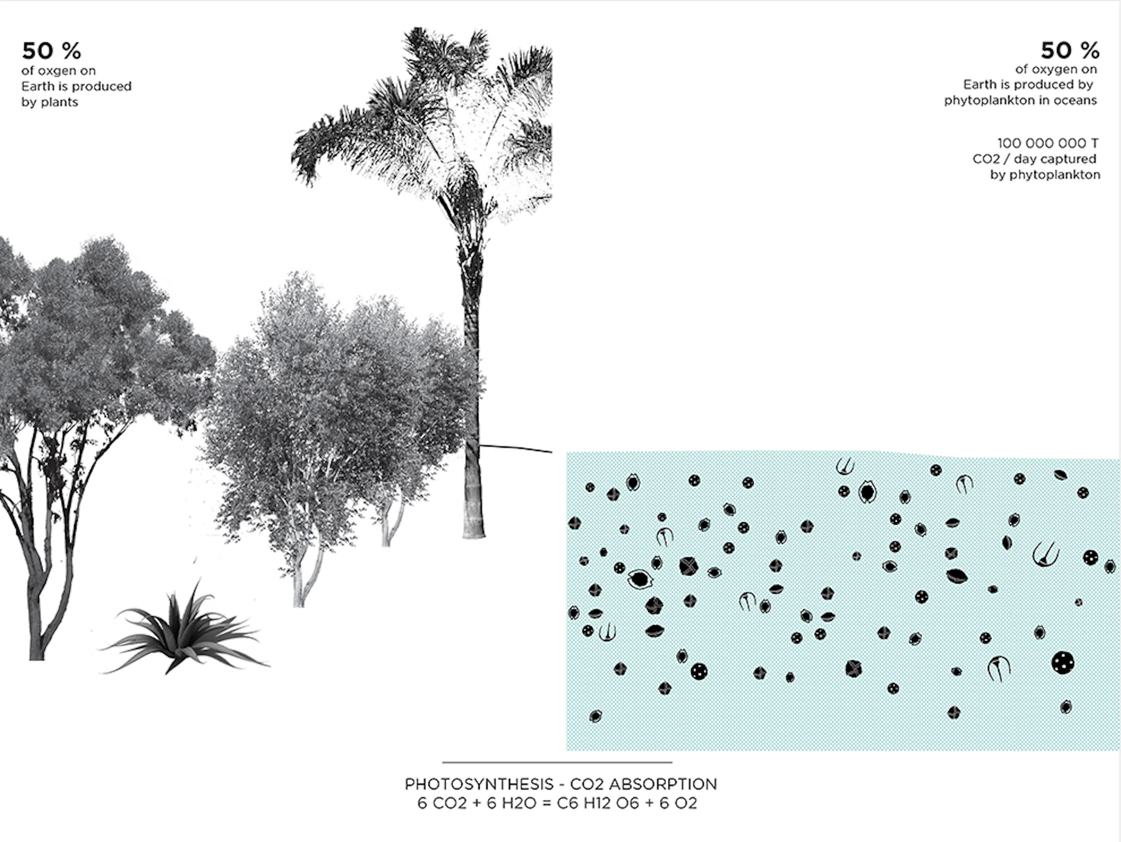 Bloom: Aquatic Farm — 10