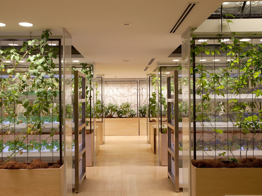 © Kono Designs LLC, Pasona Group
