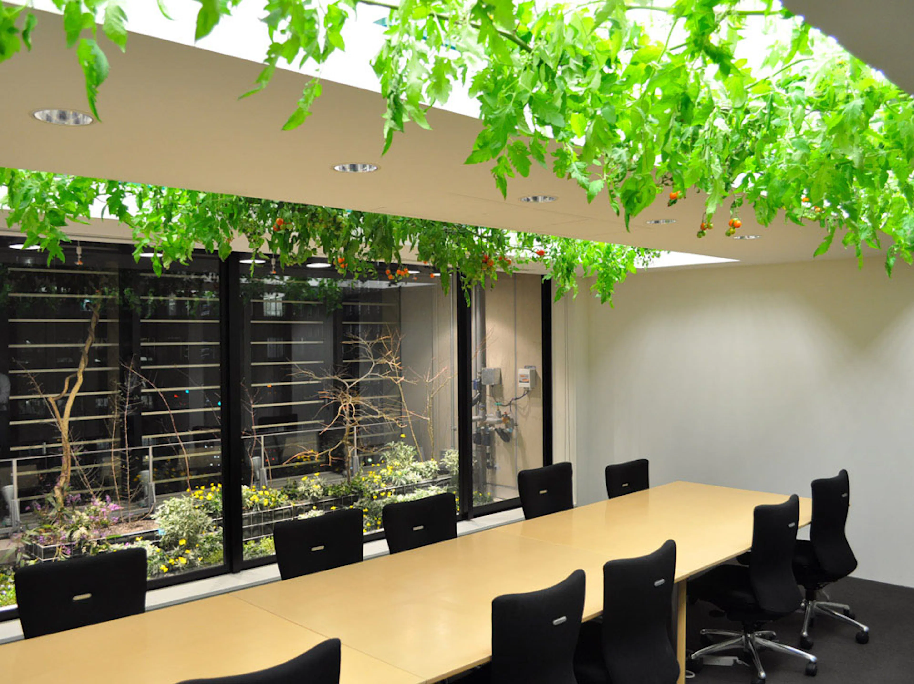 Pasona H.Q. Tokyo — 24