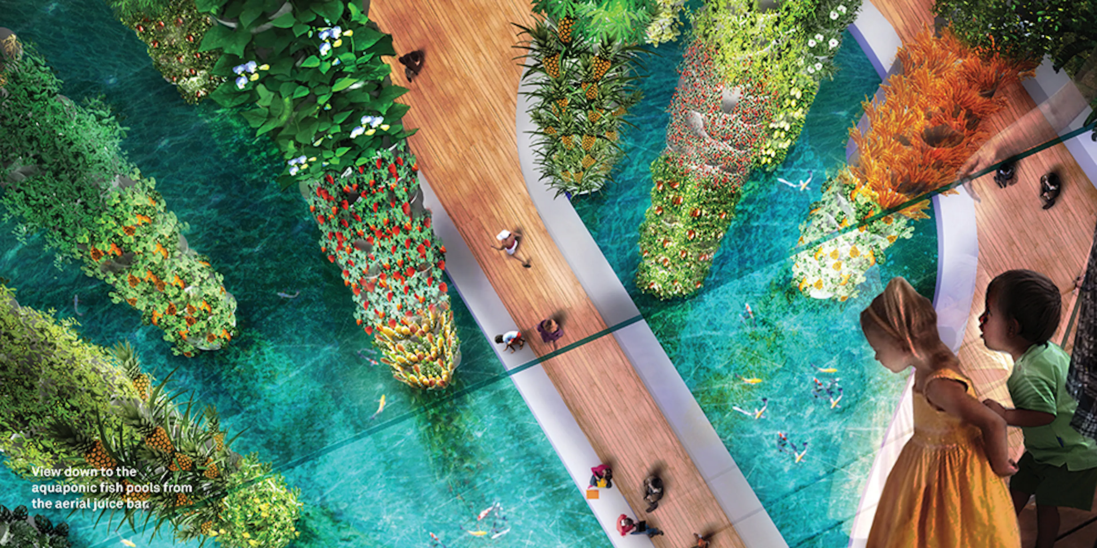 The Urban Food Jungle — 1