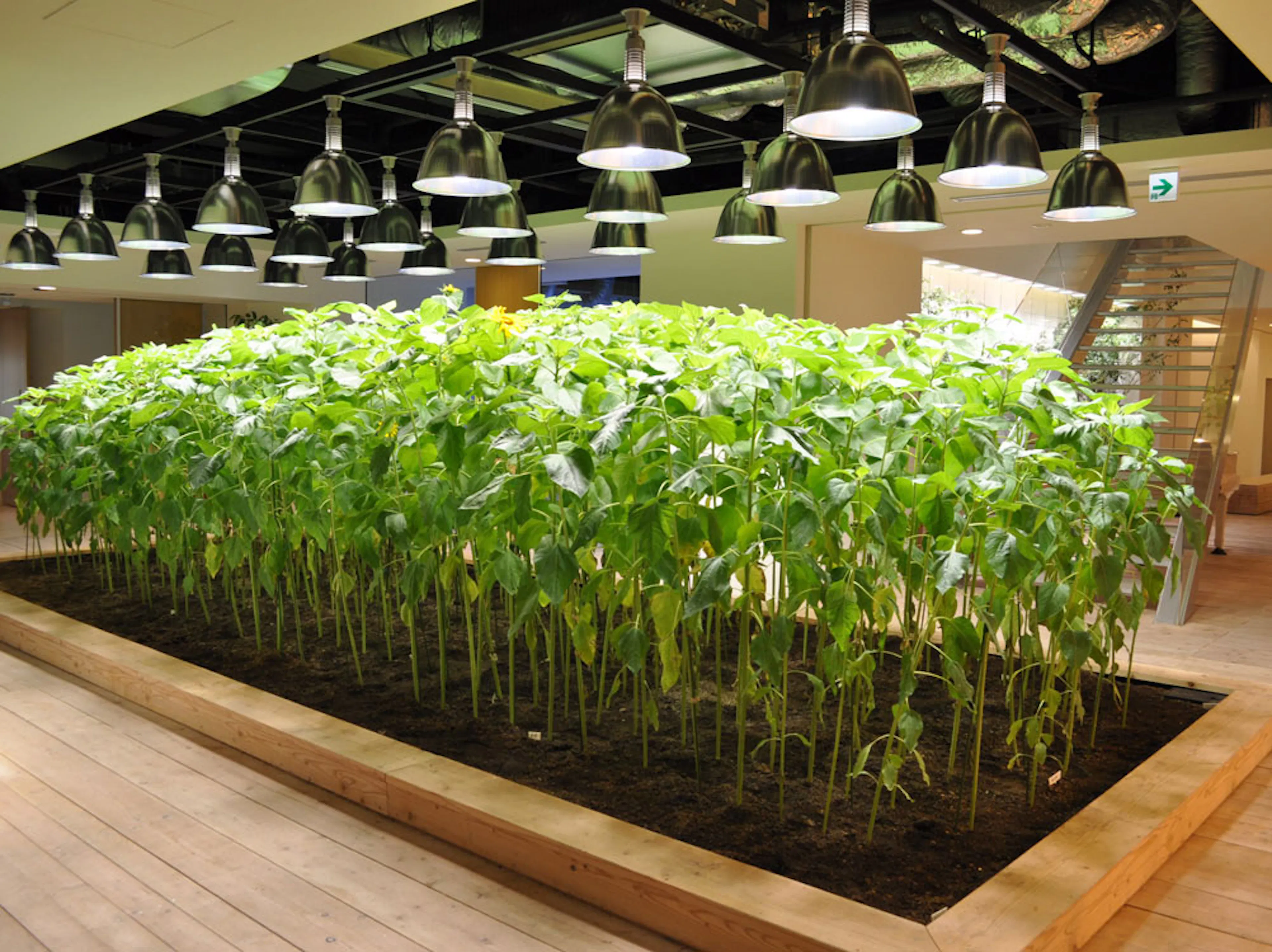 Pasona H.Q. Tokyo — 8