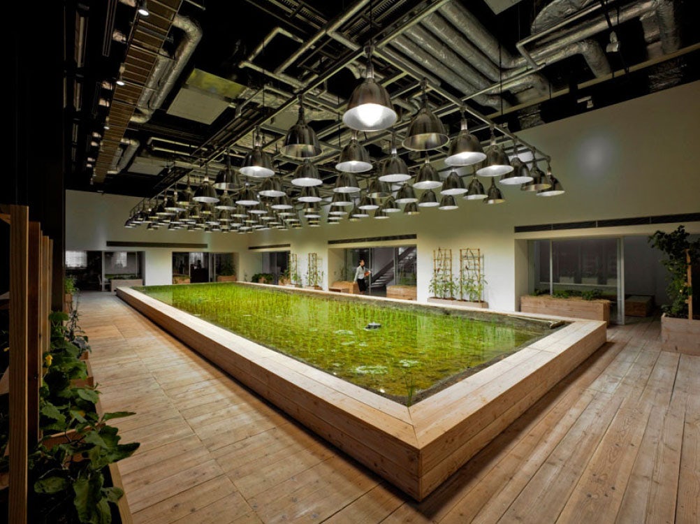 © Kono Designs LLC, Pasona Group