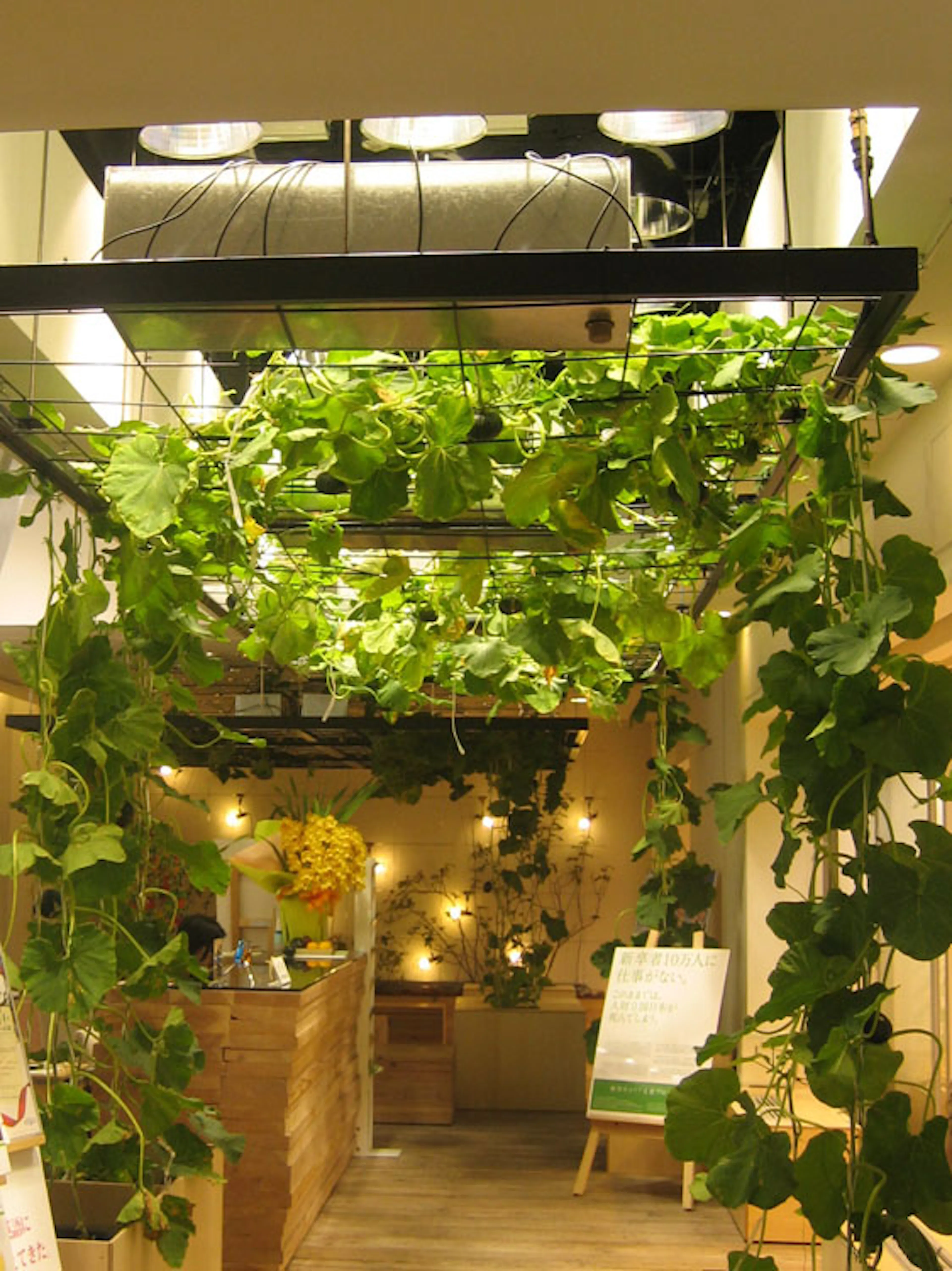 Pasona H.Q. Tokyo — 12