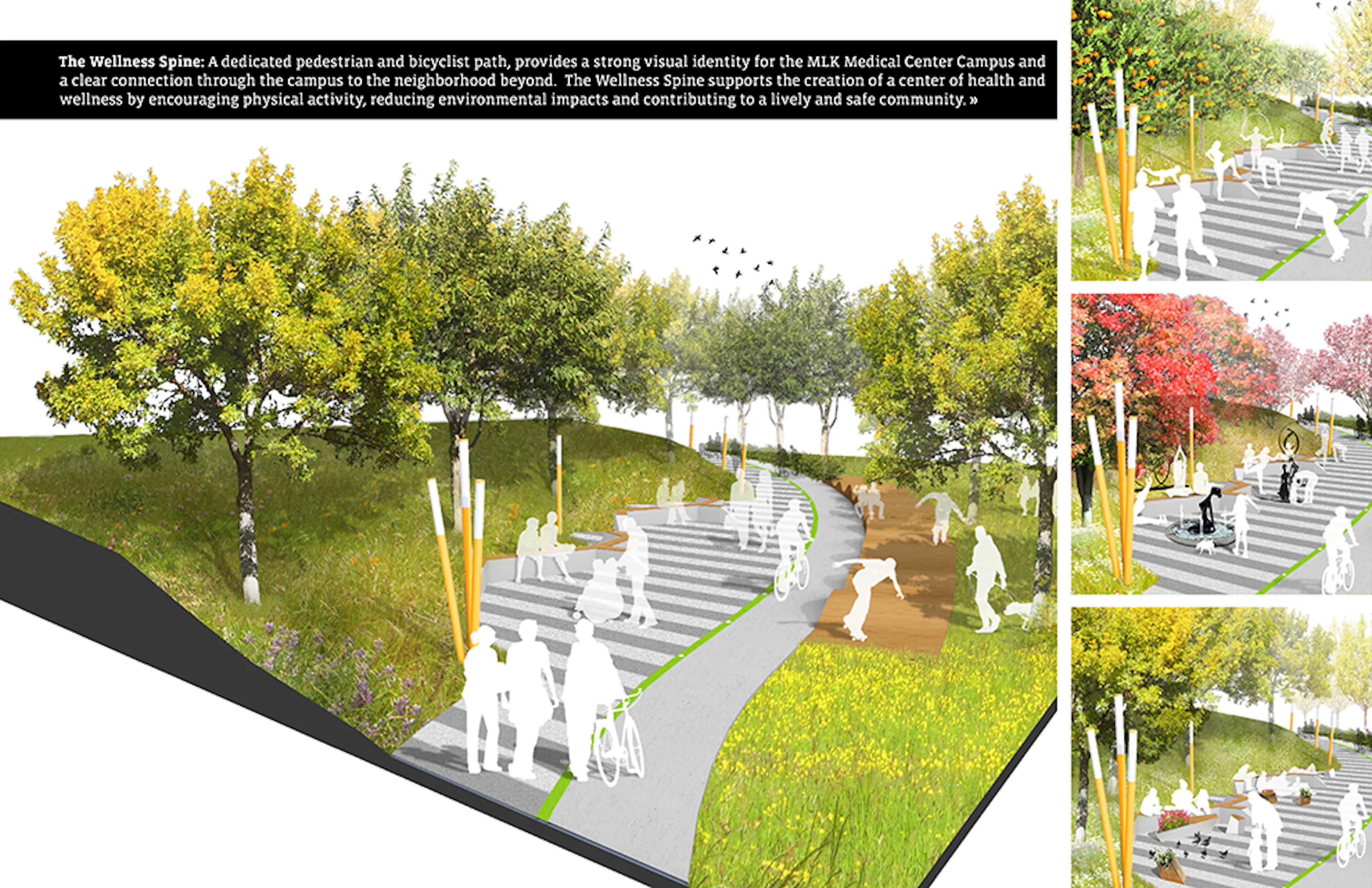 Willowbrook MLK Wellness Community — 11