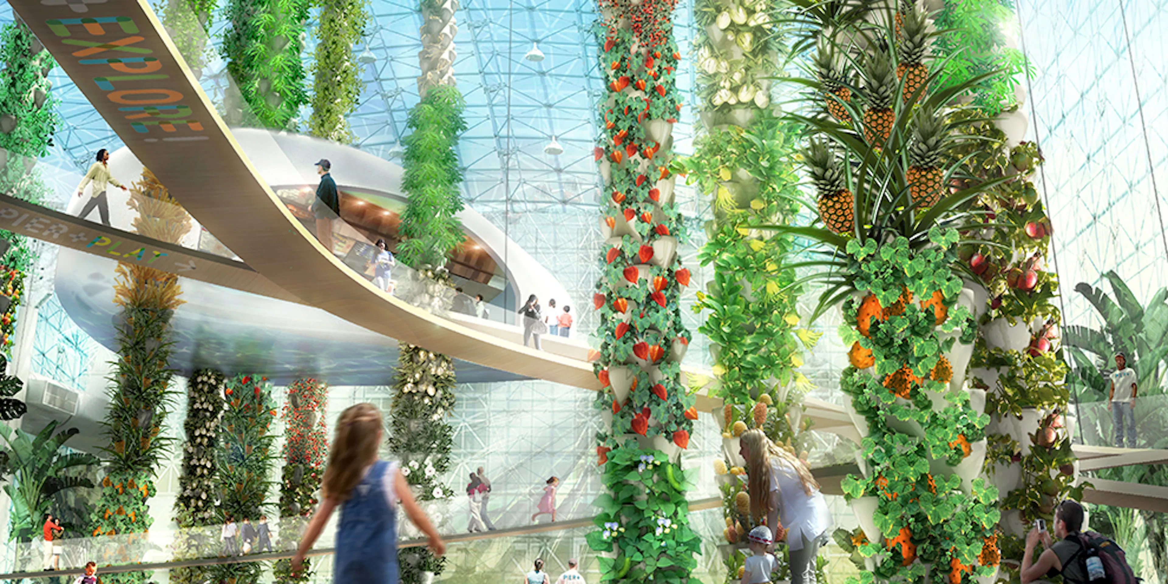 The Urban Food Jungle