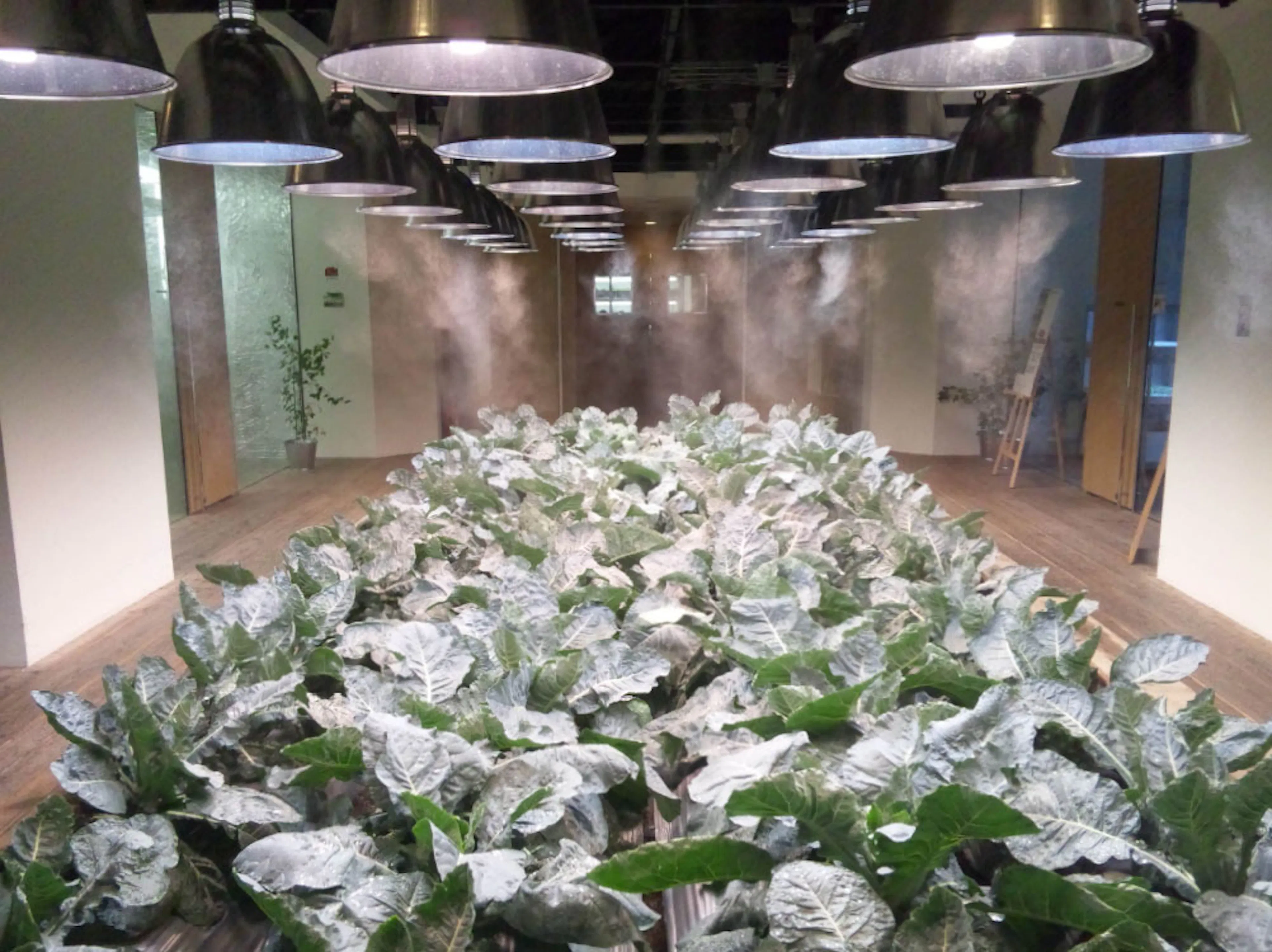 Pasona H.Q. Tokyo — 9