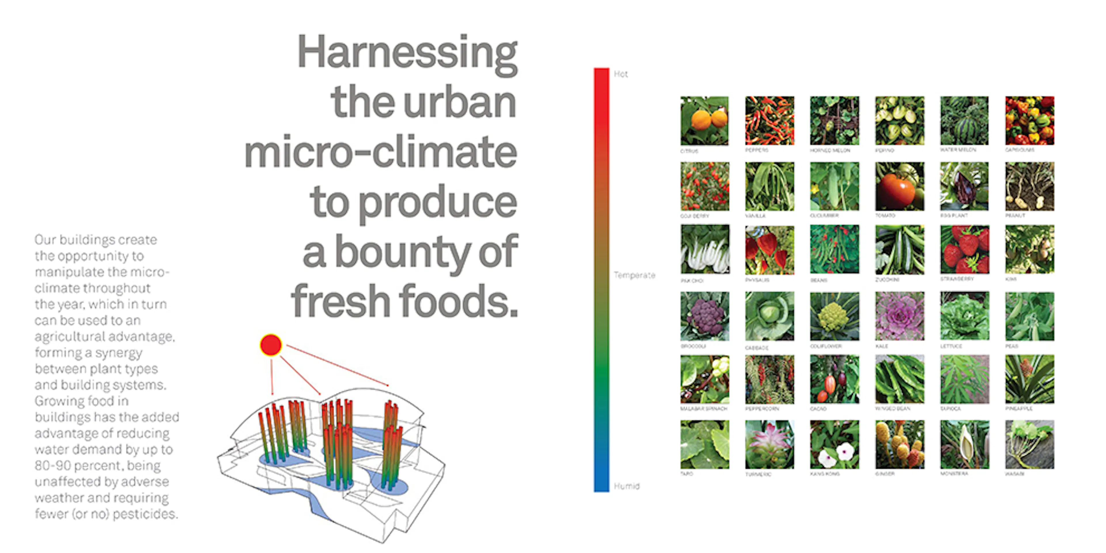 The Urban Food Jungle — 10