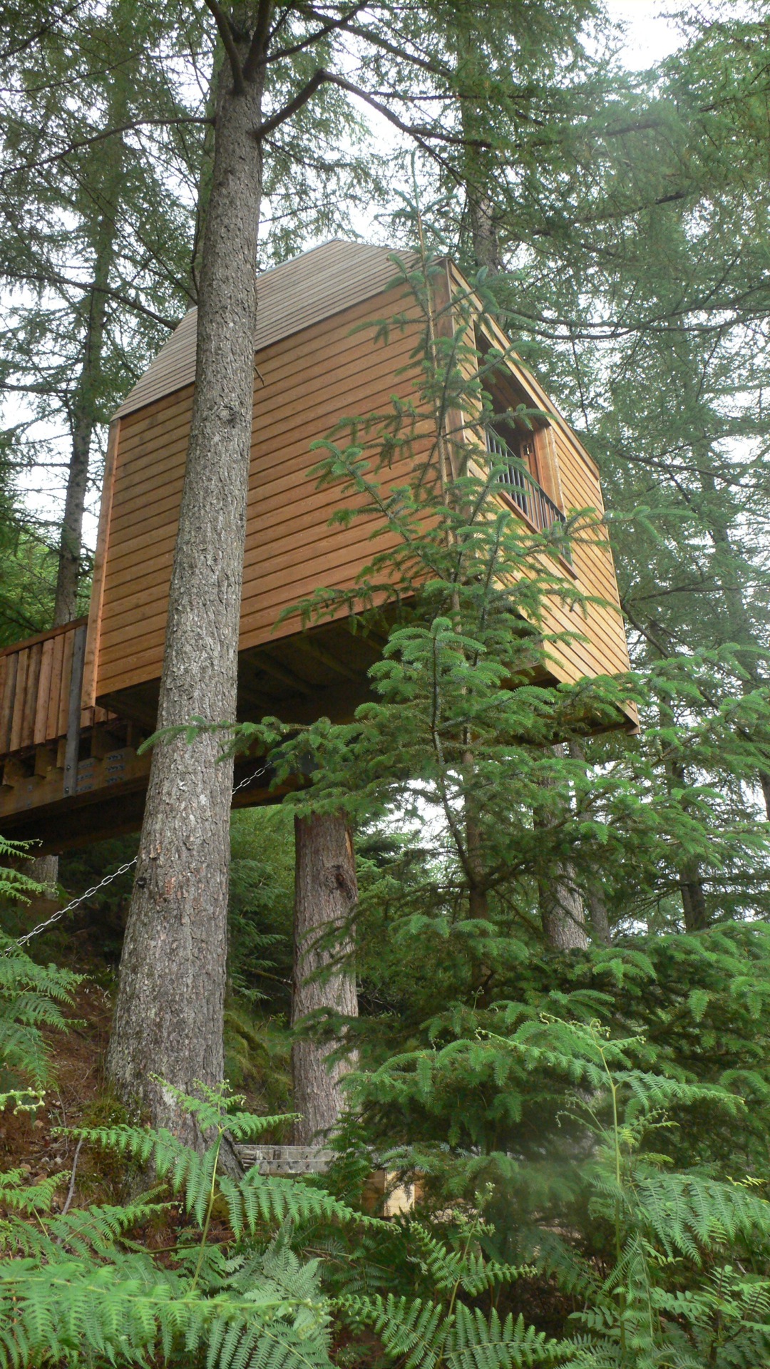 © Malcolm Fraser Architects