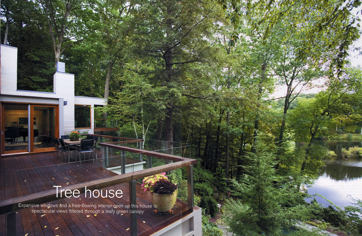 Modern Tree House - Architizer