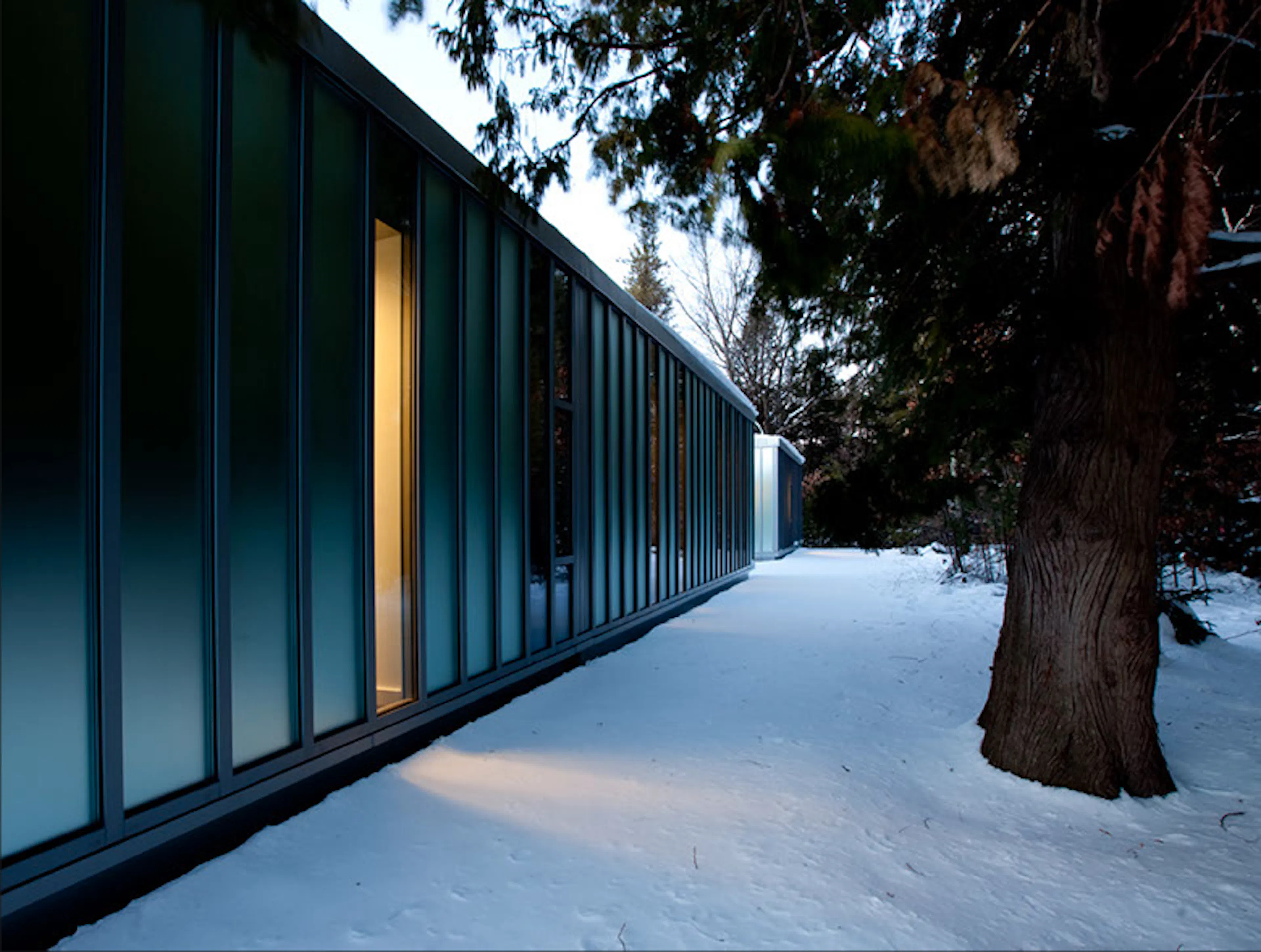 Claire T. Carney Library — 1