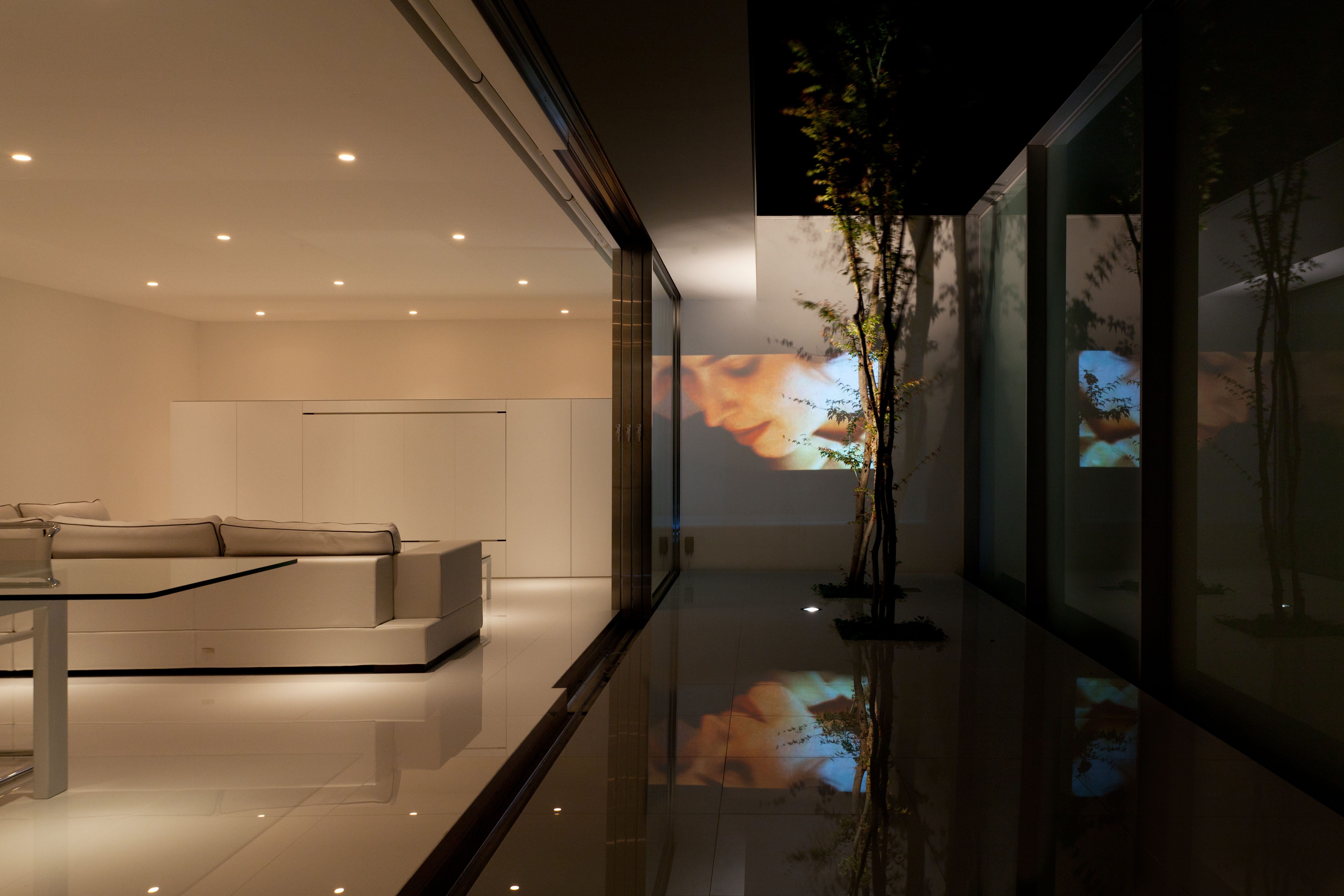 © Shinichi Ogawa & Associates