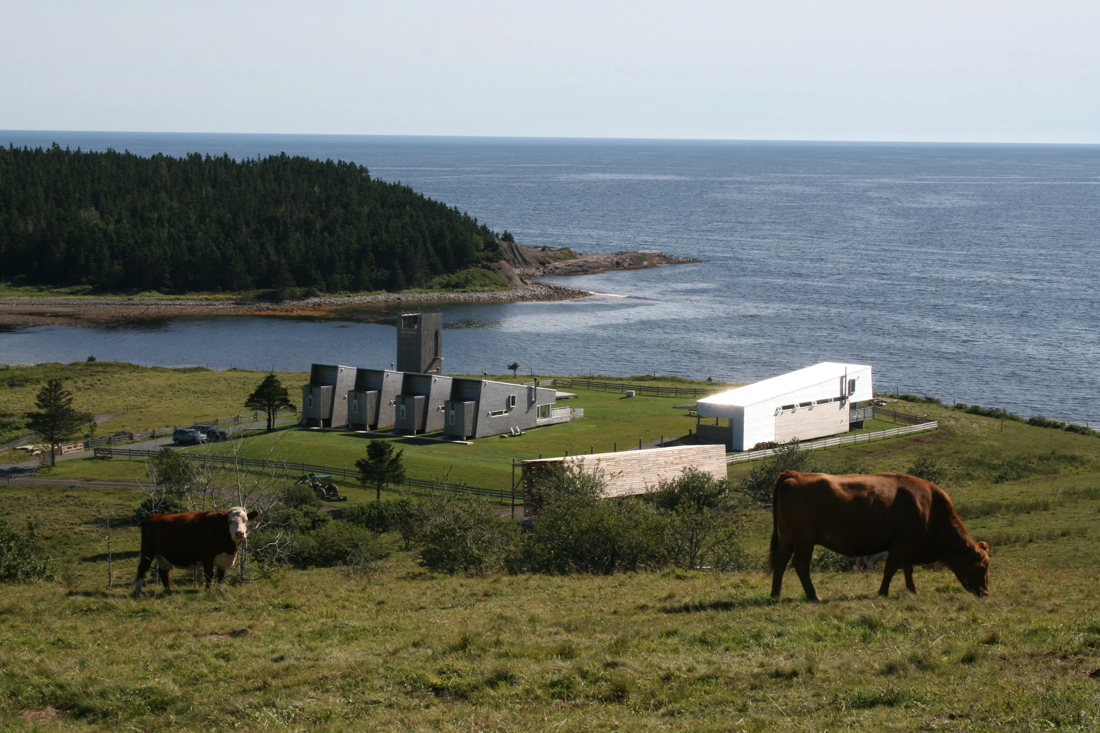 Horizon Neighbourhood — 1