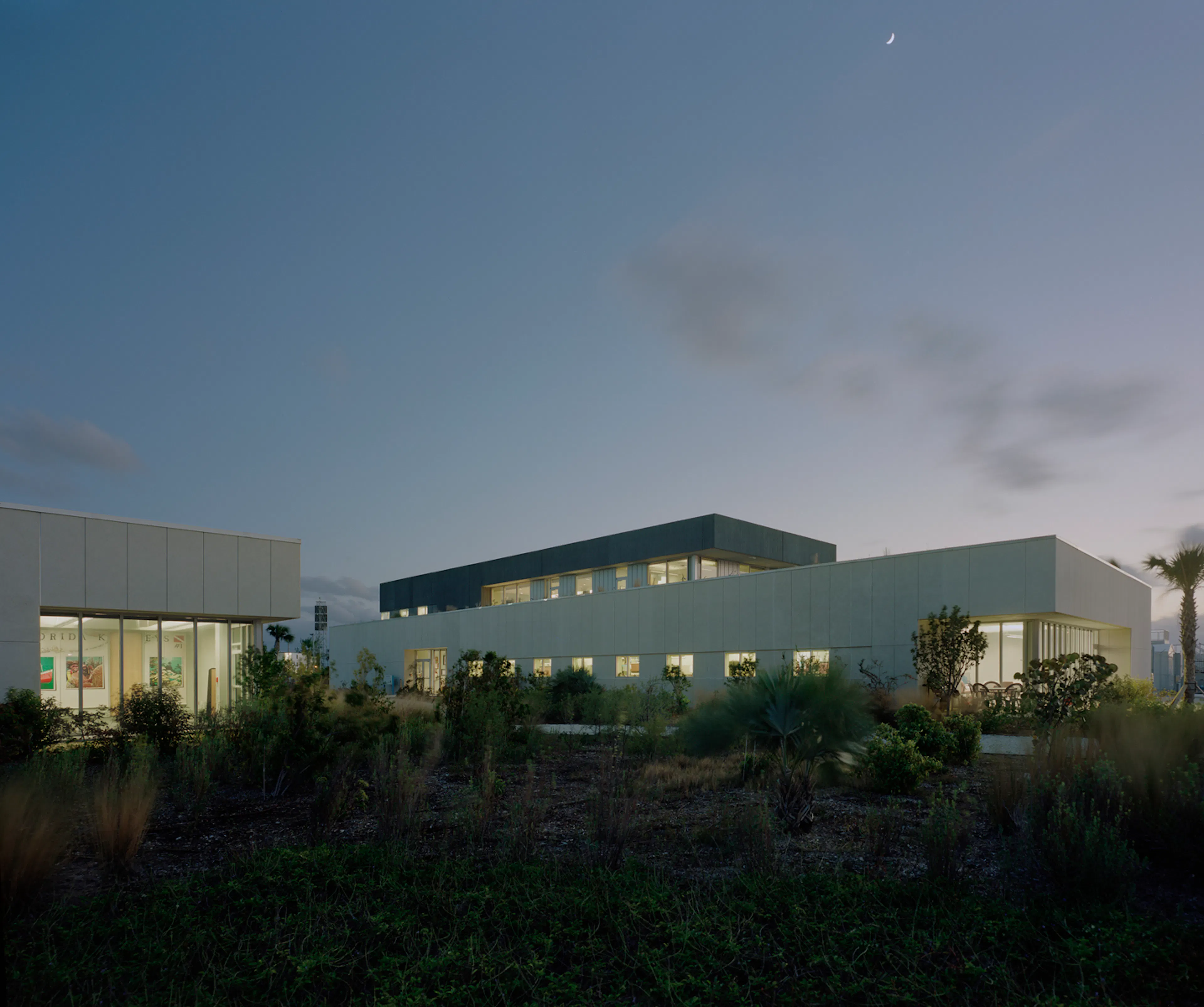 EskewDumezRipple — 16