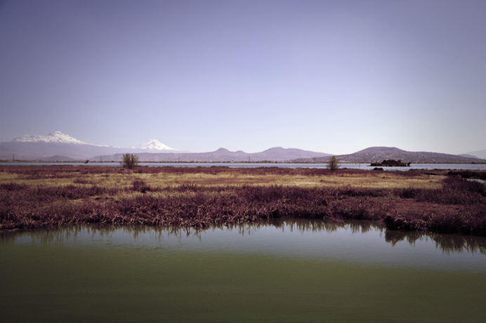 Texcoco Lake Ecological Park Architizer   D6dd43fb 