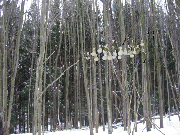 © Ants of the Prairie