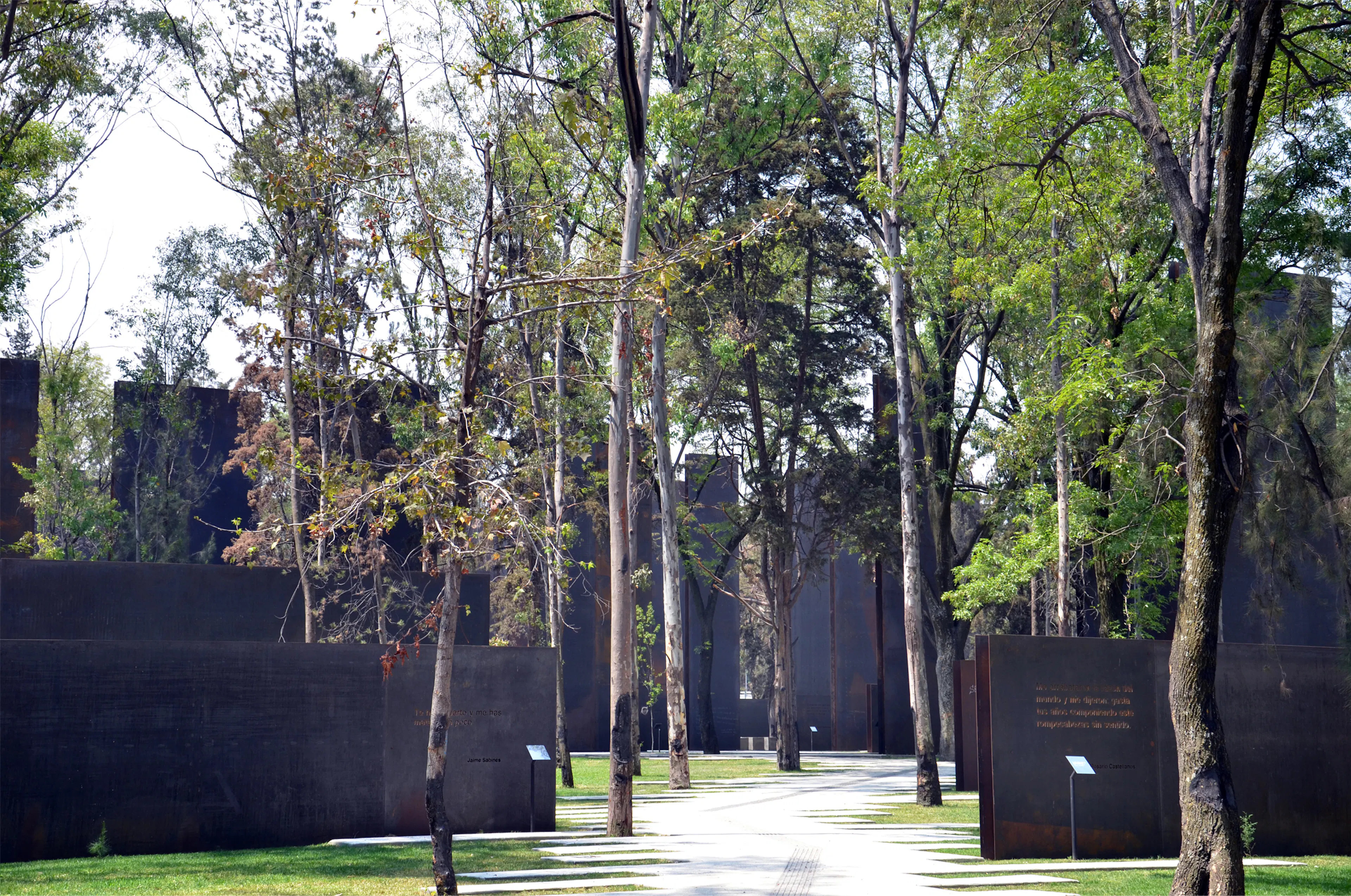 Memorial to Victims of Violence in Mexico — 11