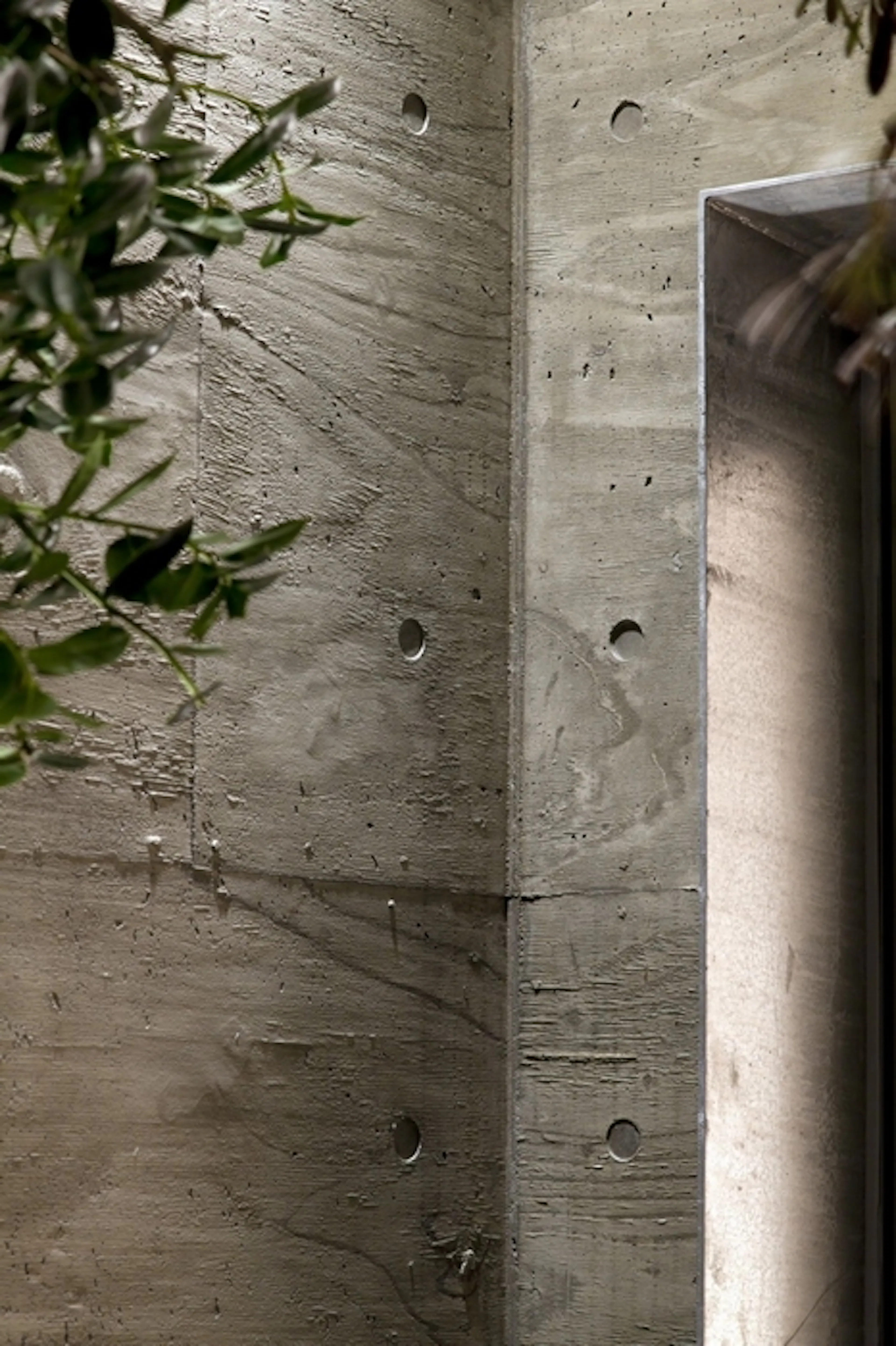 yotsuya tenera — 12