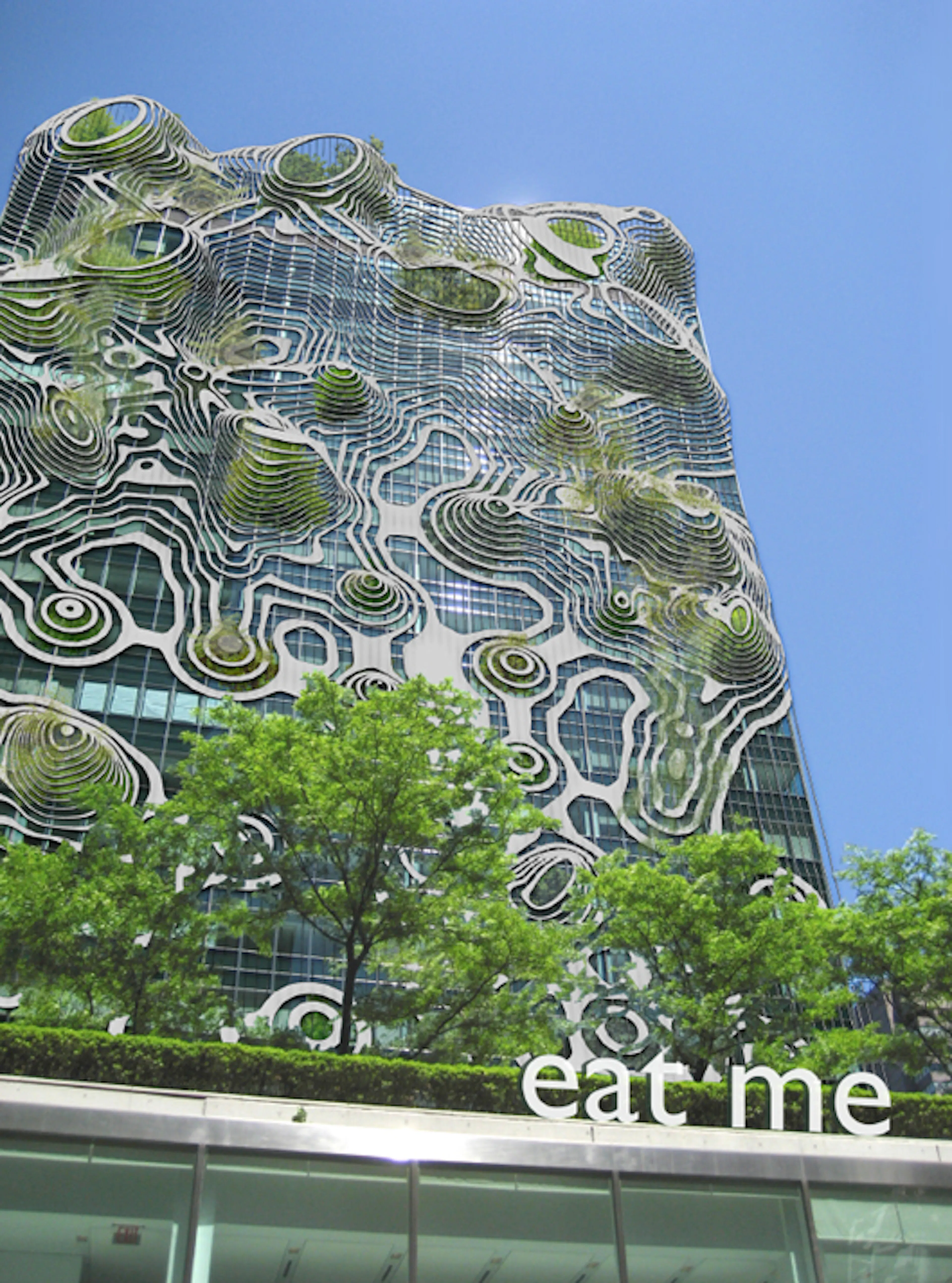 Senyai: Vaulted Acoustics — 2