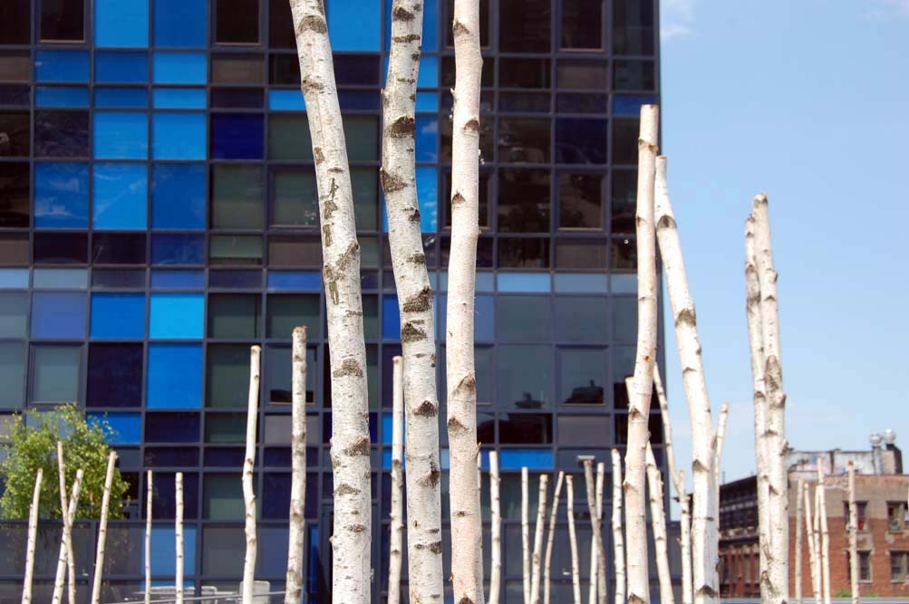 Birch Forest Installation by R2P STUDIO site architects - Architizer