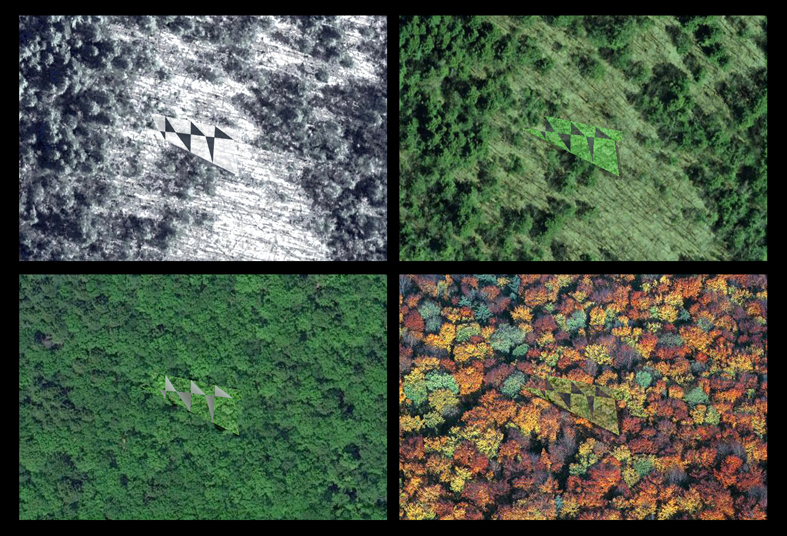 Maine Woodlot House by FreelandBuck Architizer