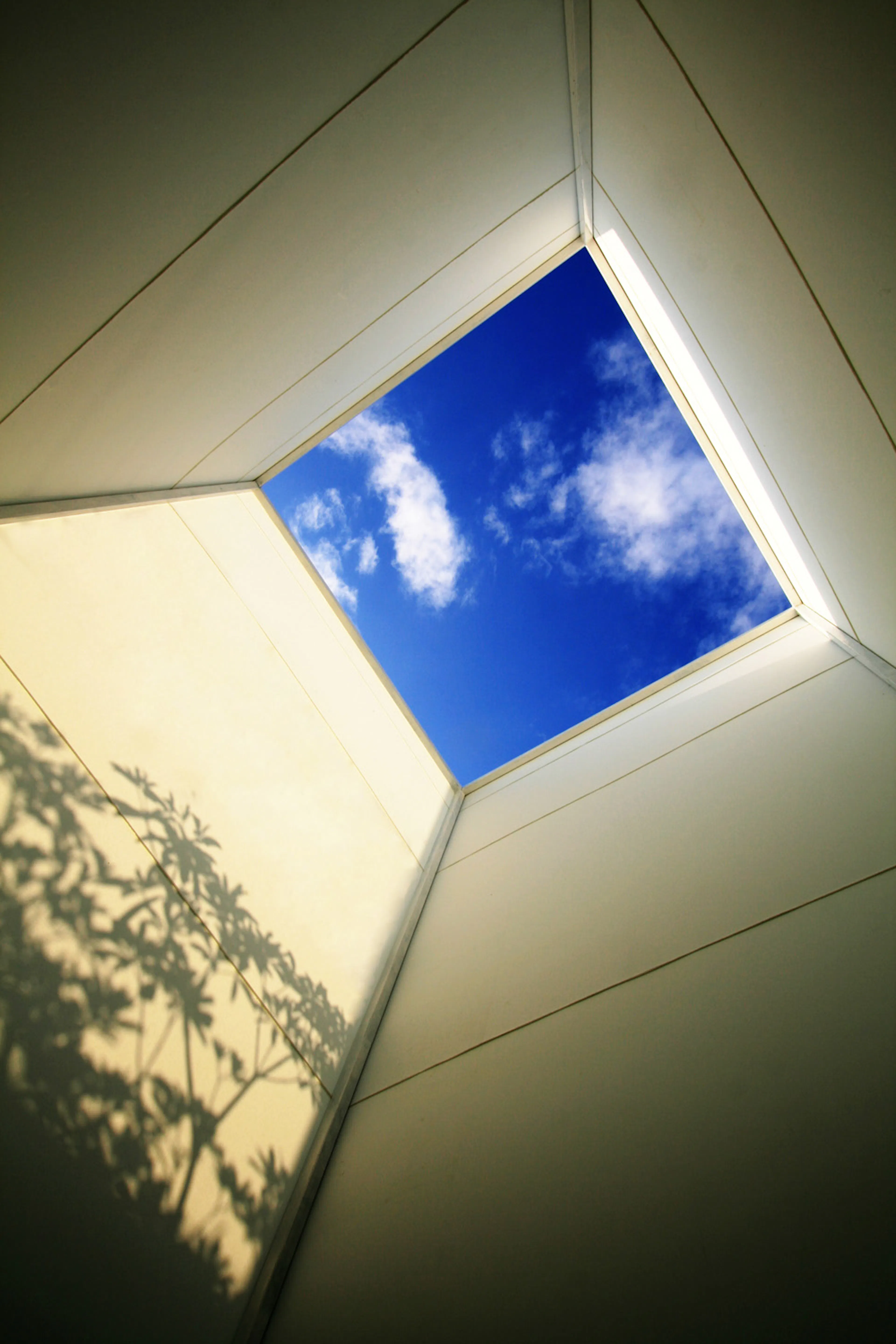 Coro Field : Phase 1