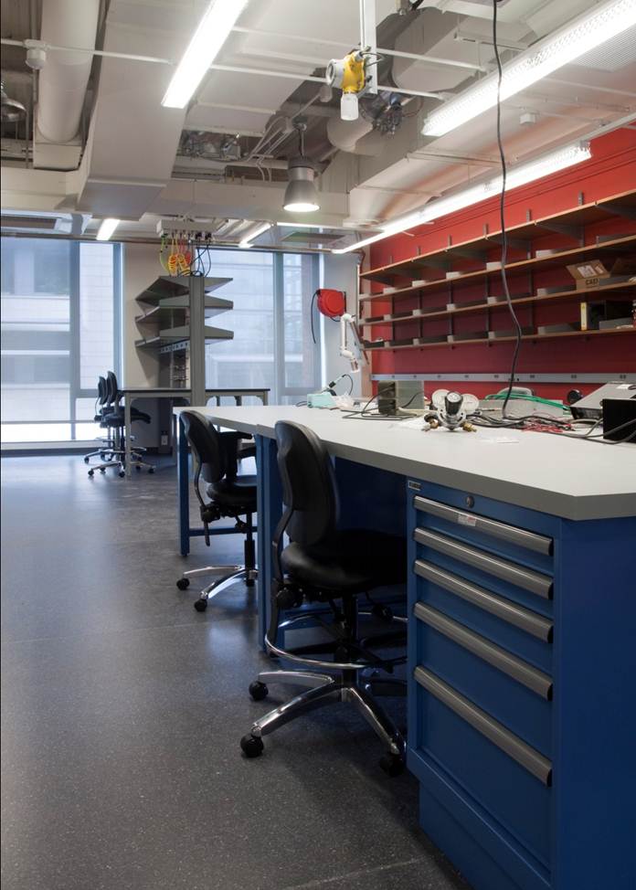 Harvard University Center for Brain Sciences, Zhang Laboratory