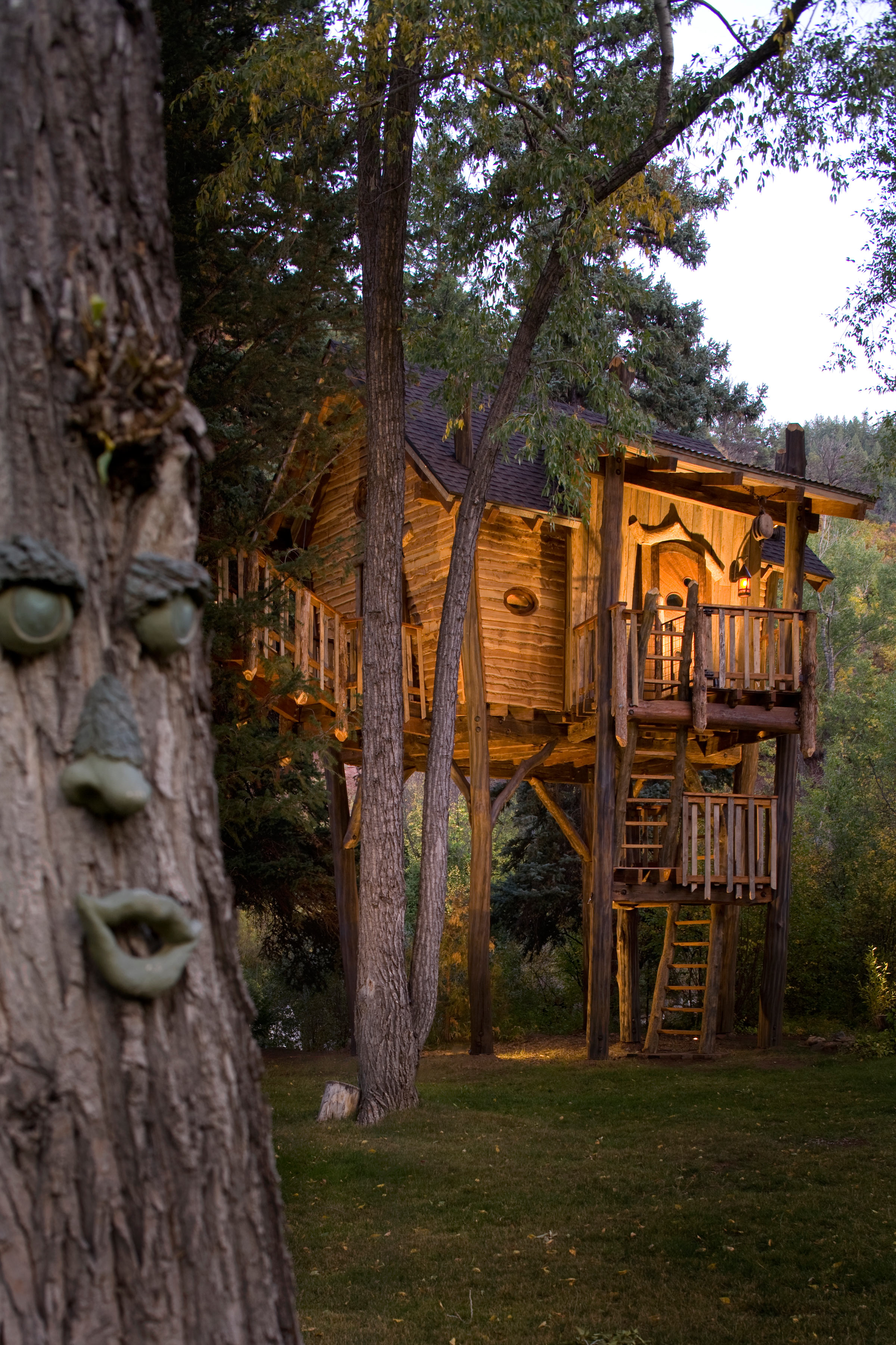 Crystal River Tree House by GreenLine Architects - Architizer