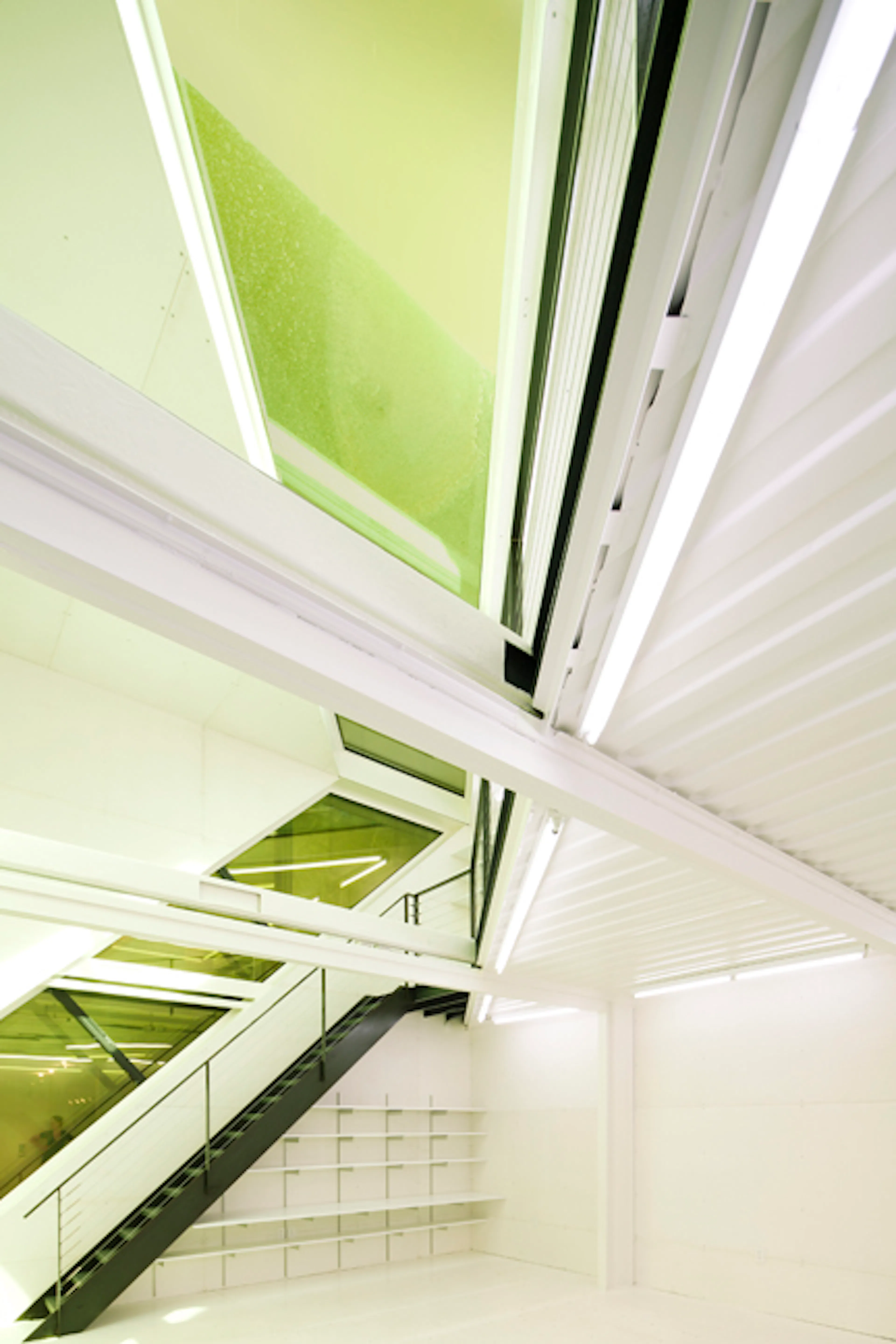 WHITNEY STUDIO — 2