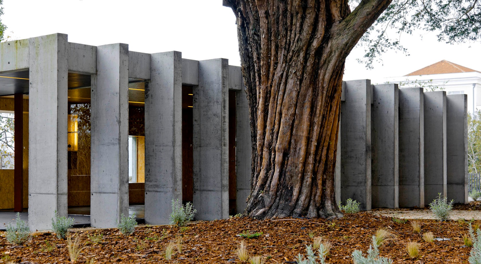 photo: Alexandre Delmar - © Clínica de Arquitectura