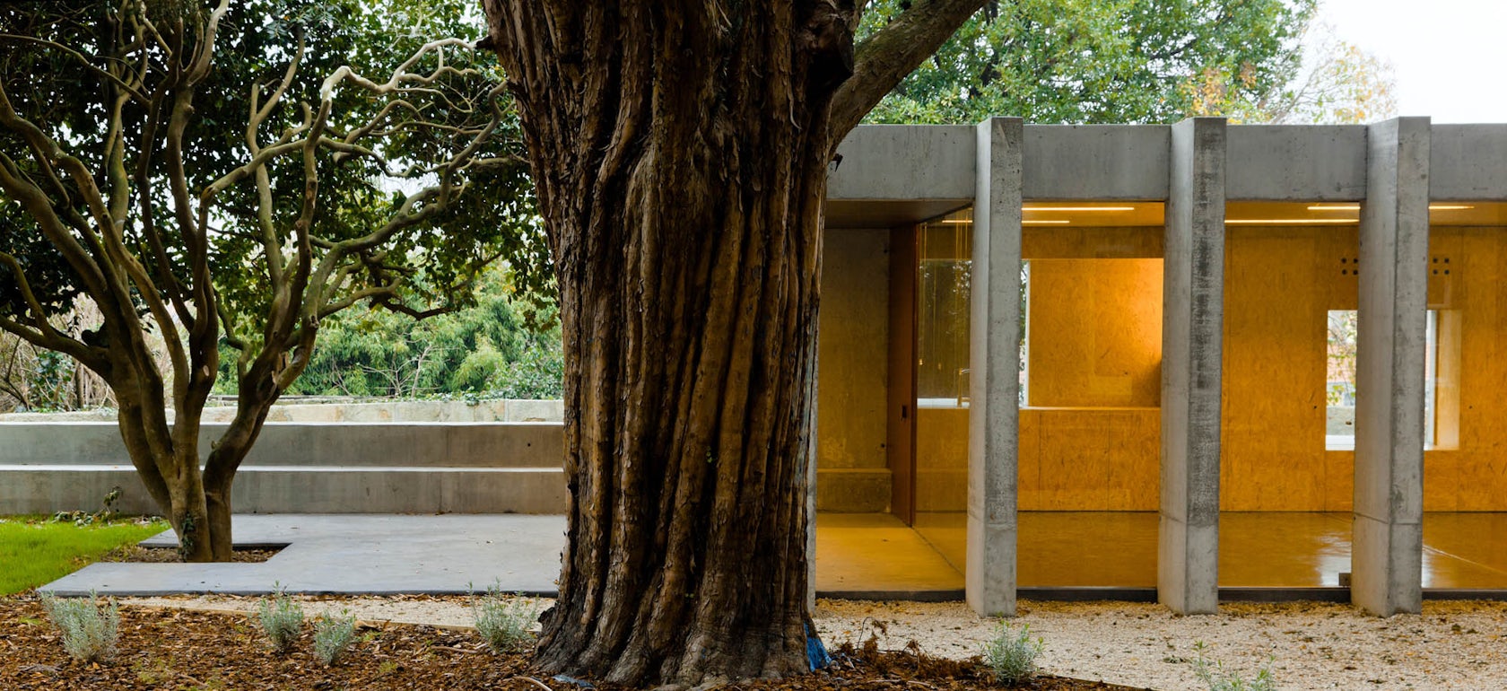 photo: Alexandre Delmar - © Clínica de Arquitectura