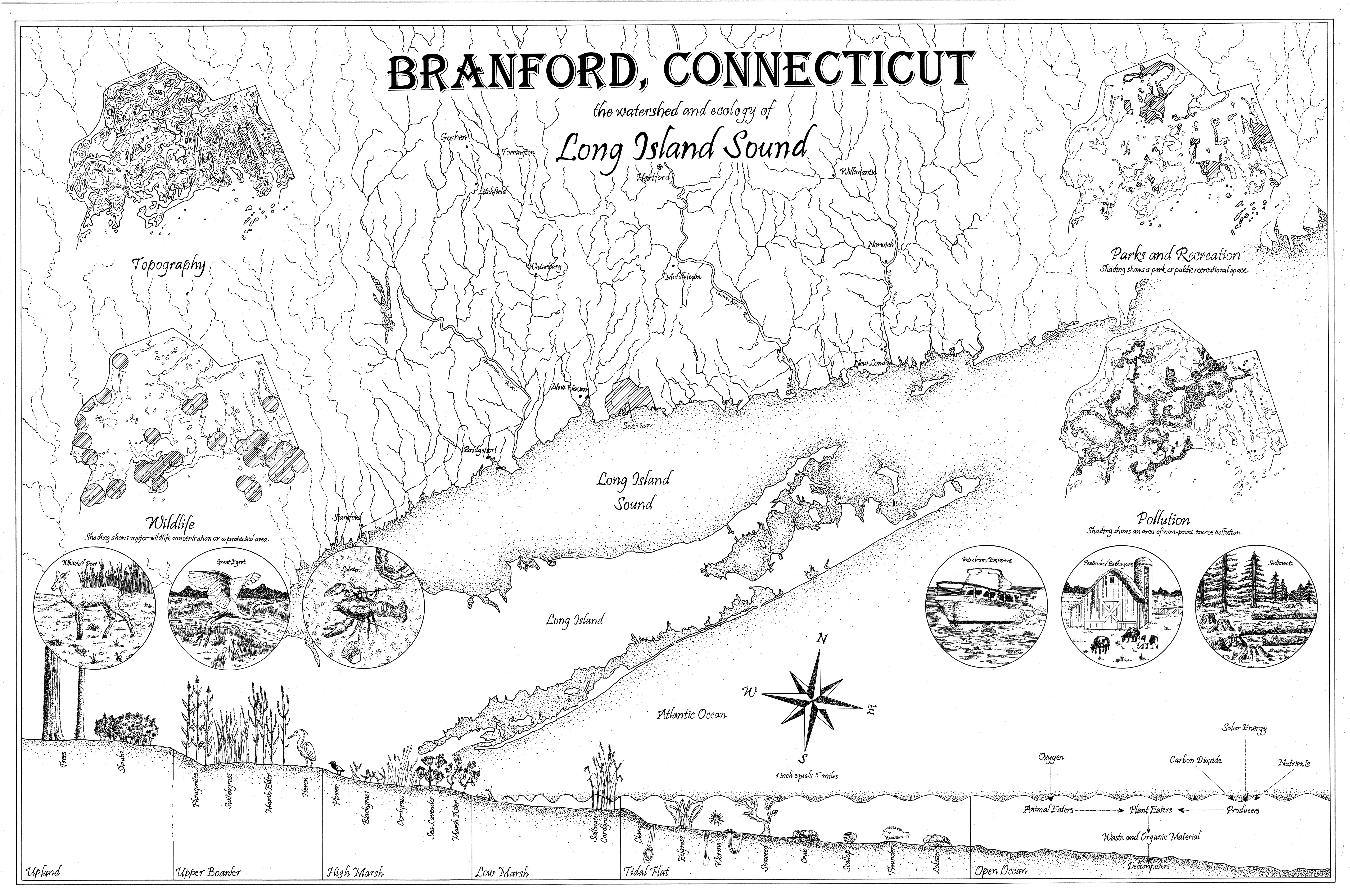 Ecological Map of Branford, Connecticut Architizer