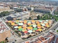 CAAC-Paredes/Pino