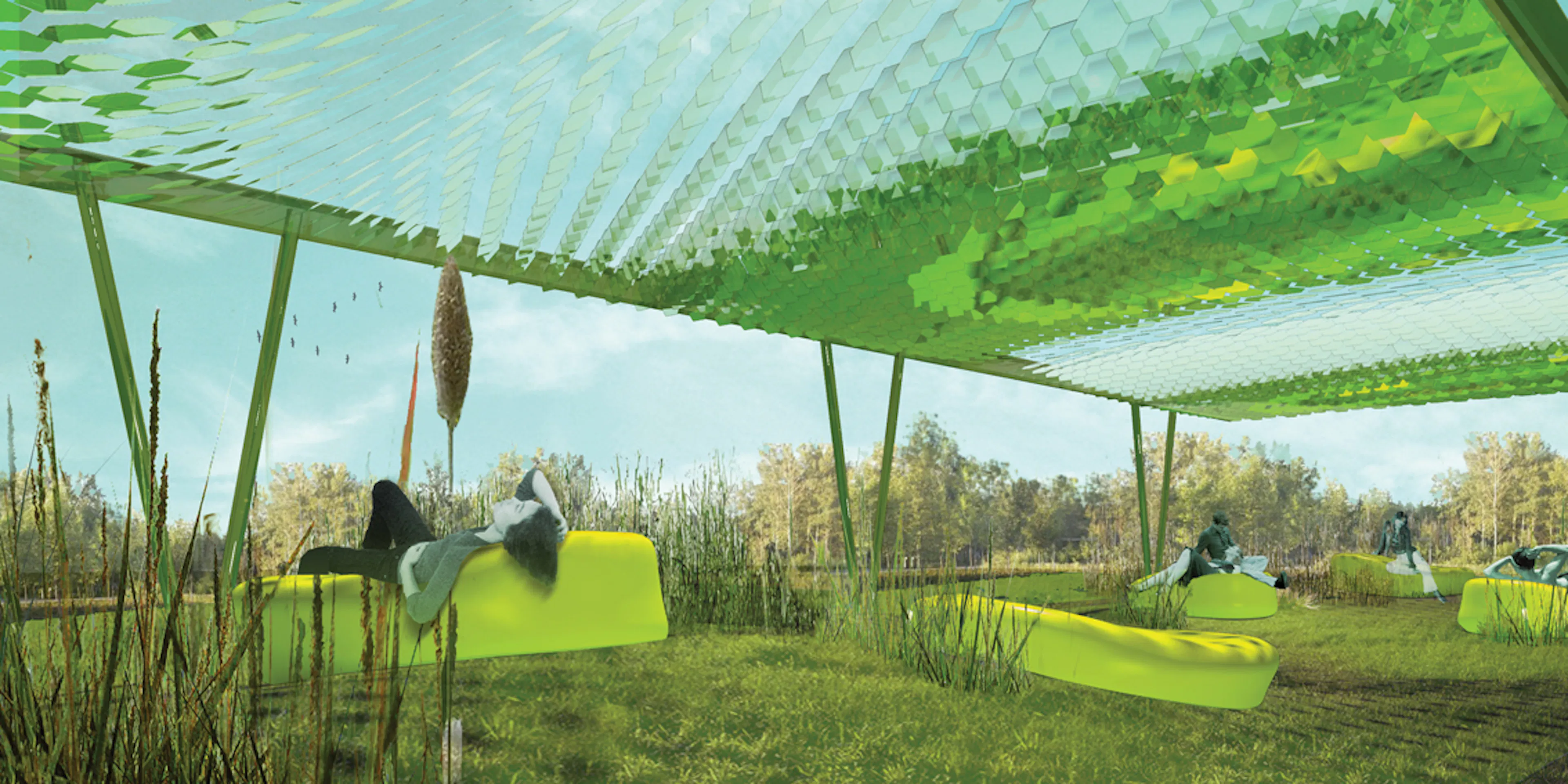 Hiding in Plain Sight